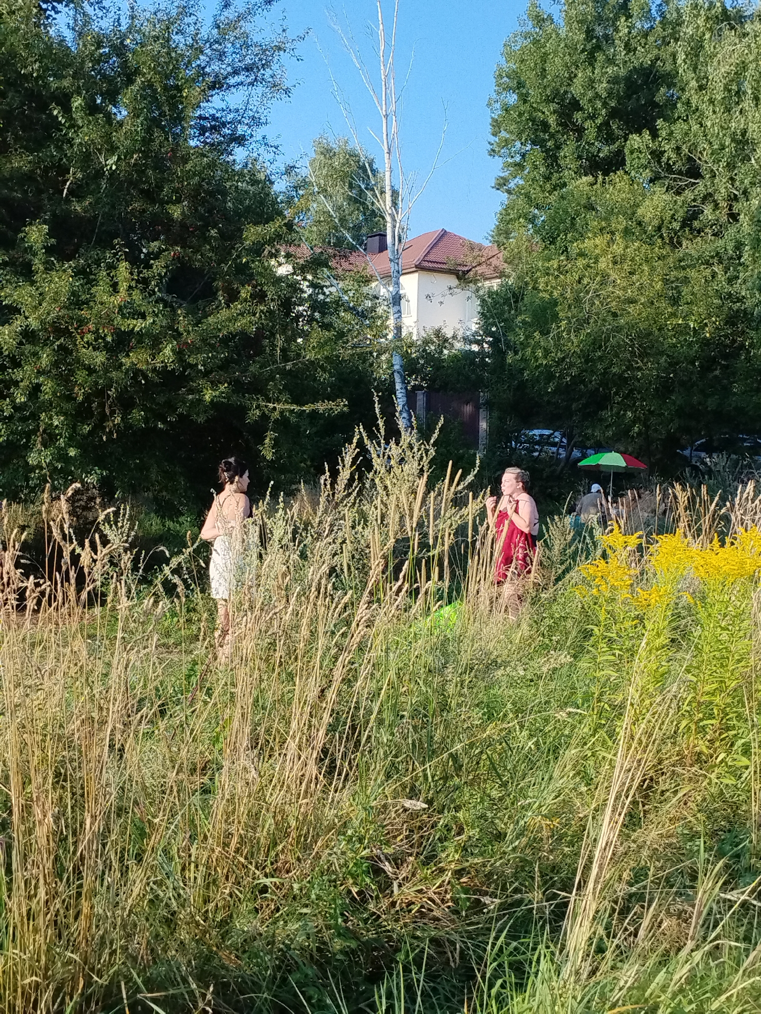 The image depicts an outdoor scene in a grassy area with trees and a building in the background, likely located in Навадворскі сельскі Савет, Belarus. In the foreground, two women are visible amidst tall, dry grass and green vegetation. The woman on the left is wearing a light-colored dress and looking to her right, with her hair pulled back. The woman on the right is wearing a red dress and facing to her left, with her hand near her face. Further in the background, a multi-colored umbrella (red and green) is visible, suggesting a recreational setting. A building with a brown roof is partially obscured by trees. The environment appears to be a sunny day with a clear blue sky.