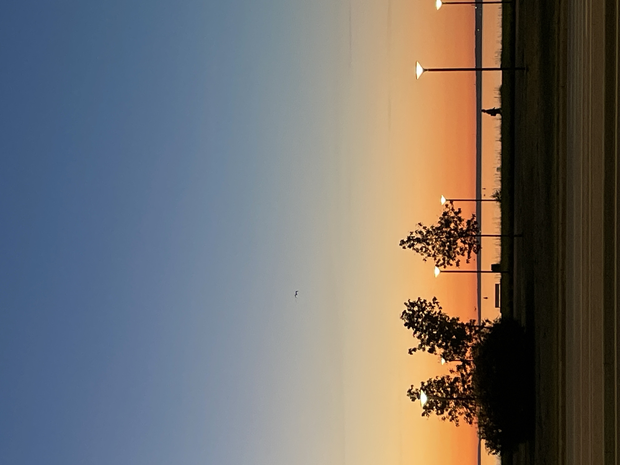 The image displays a waterfront scene at dusk in Tallinn, Estonia. The sky exhibits a gradient from dark blue at the zenith, transitioning to lighter blue, then yellow, and finally a distinct orange-red at the horizon. A single, small, dark bird is in flight in the upper-middle left section of the sky.
A calm body of water, likely the Baltic Sea, stretches across the mid-ground, reflecting the orange light from the sky. A faint, dark line on the far horizon indicates a distant landmass.
The foreground consists of a dark asphalt road with two distinct white lane markings. Immediately behind the road is a strip of dark green parkland. Several deciduous trees with dense, silhouetted foliage are positioned within this parkland. A large, dark, dense bush is situated on the left side of the parkland. Four streetlights with dark poles and illuminated, inverted conical tops are spaced along the parkland, casting an upward glow.
Near the water's edge, a dark park bench is visible, partially obscured by the large bush. To the right of the bench, a dark cylindrical object, consistent with a trash receptacle, is present. A single human figure, silhouetted in dark clothing, is walking from left to right on a path along the water's edge. The scene is consistent with a coastal promenade or park area in the city of Tallinn, Estonia.