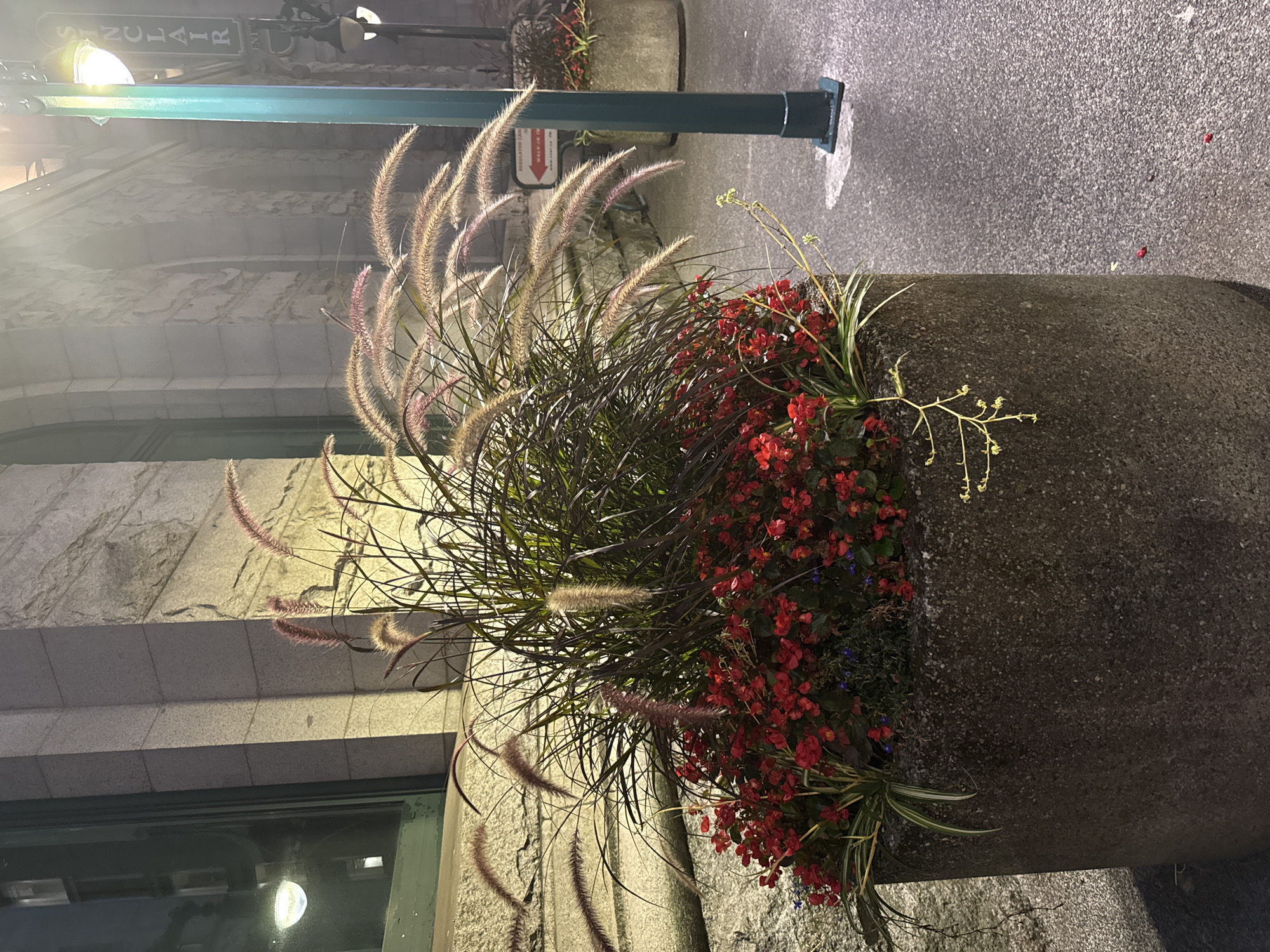 An outdoor, eye-level, medium shot captures a stone planter filled with ornamental grass and red flowers. The planter, made of rough, gray concrete, sits on a paved surface, likely a sidewalk or plaza. Behind the planter, a building with stone facade and arched windows is visible, illuminated by artificial light, creating a warm glow. To the right, a tall, teal-colored lamppost stands beside the building, with a sign reading "SINCLAIR" vertically oriented on it. The scene is dimly lit, suggesting it is evening or night, and the overall atmosphere is serene and somewhat urban.