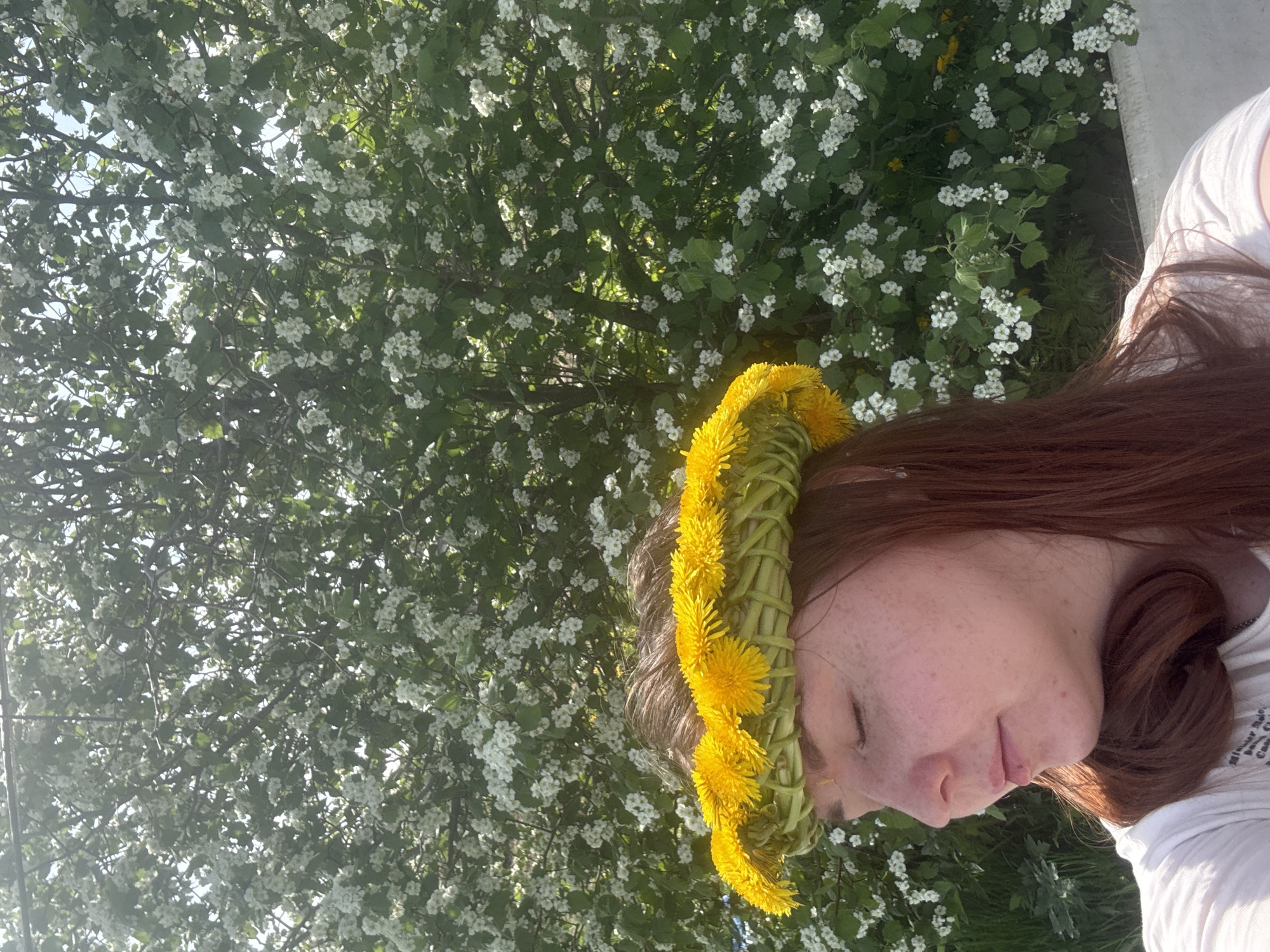 A young woman with reddish-brown hair, wearing a dandelion flower crown, is pictured outdoors against a backdrop of a tree filled with small white flowers. She is wearing a white t-shirt and has her eyes closed. Her hair is partially tied back and rests on her shoulder. The image is taken during the daytime under natural lighting, although no information in this image confirms the location to be Lukintsy, Russia.