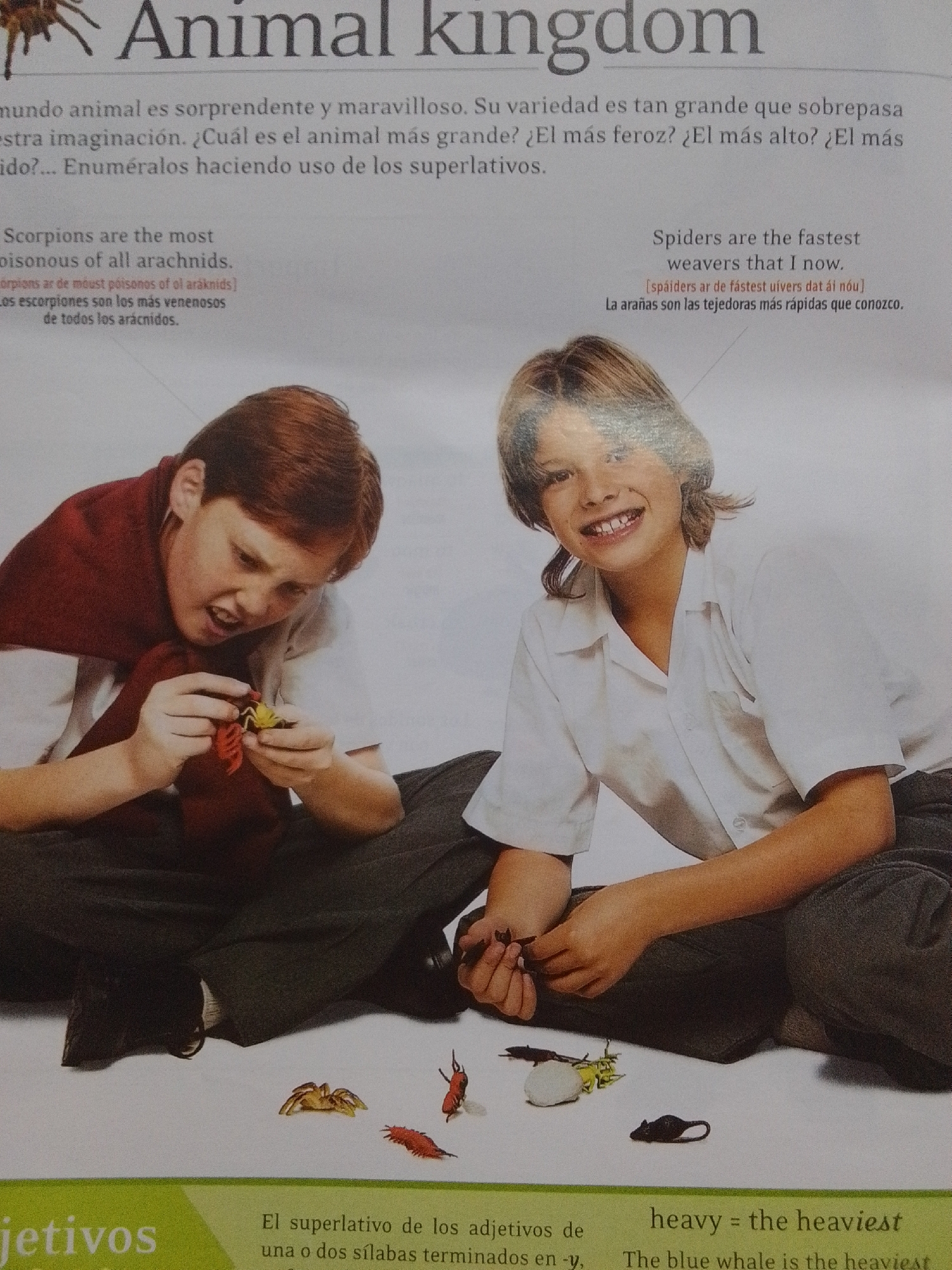 The image is a spread from a children's educational publication, likely a magazine or book, with the title "Animal kingdom" prominently displayed at the top. The content focuses on animals and descriptive language.
In the foreground, two young boys are seated on a white surface, possibly the floor or a table. The boy on the left, with reddish-brown hair, is wearing a white shirt and a burgundy scarf draped around his neck. He is intensely focused on a small, red and yellow toy insect in his hands, appearing to manipulate it. The boy on the right, with light brown hair, is wearing a white collared shirt and smiles towards the camera, his hands resting in his lap.
Scattered around the boys are several small toy animals, including a golden spider, a red centipede-like creature, and a black mouse.
The background is a light, plain color, providing no context for a specific location. There is no visual information within the image that can be used to identify the city of La Tagua, Venezuela, or any specific urban environment. The scene is purely a studio-like setup for educational purposes.