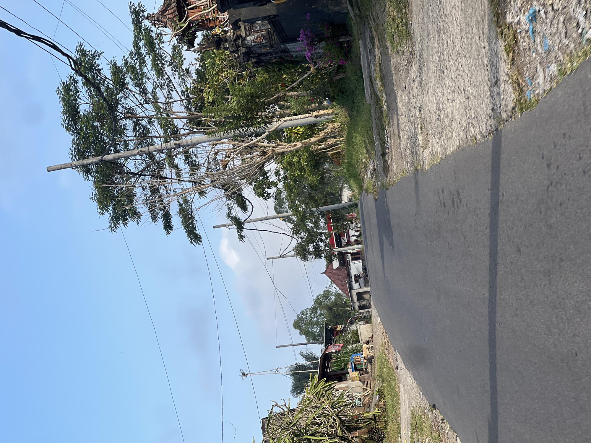 The image shows a street scene in Rendang, Indonesia. A paved road runs through a rural area with houses and lush vegetation on either side. The sky is clear and blue with a few scattered clouds. Power lines are visible overhead, supported by poles. On the left side of the road, a small building with a thatched roof is visible, and a dog stands on the side of the road. On the right side of the road, a decorative stone wall and a tree with vibrant green leaves are prominent. The overall impression is of a tranquil, sun-drenched day in a tropical setting.