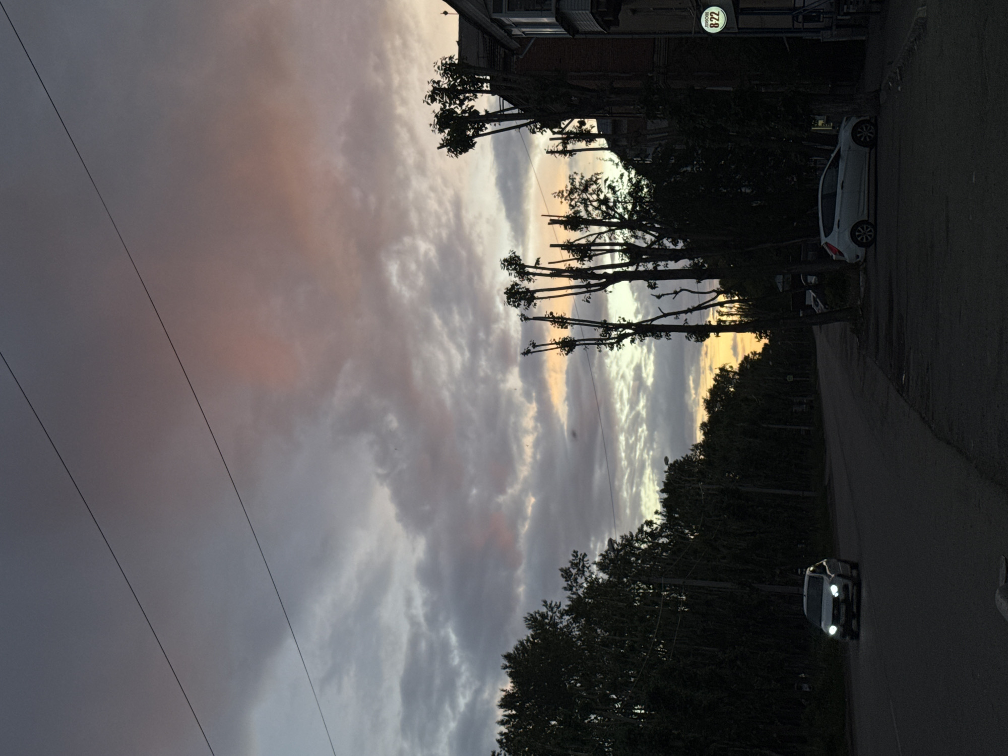 The image shows a street scene in Perm, Russia, likely at dusk. The sky is overcast with clouds tinged with pink and orange. Power lines stretch across the upper left portion of the image. Trees line the street, some of which have been heavily pruned. A white car is parked on the right side of the street. A vehicle with its headlights on is traveling on the road toward the viewer. A sign with "ЛИОН 822" is visible on a building.