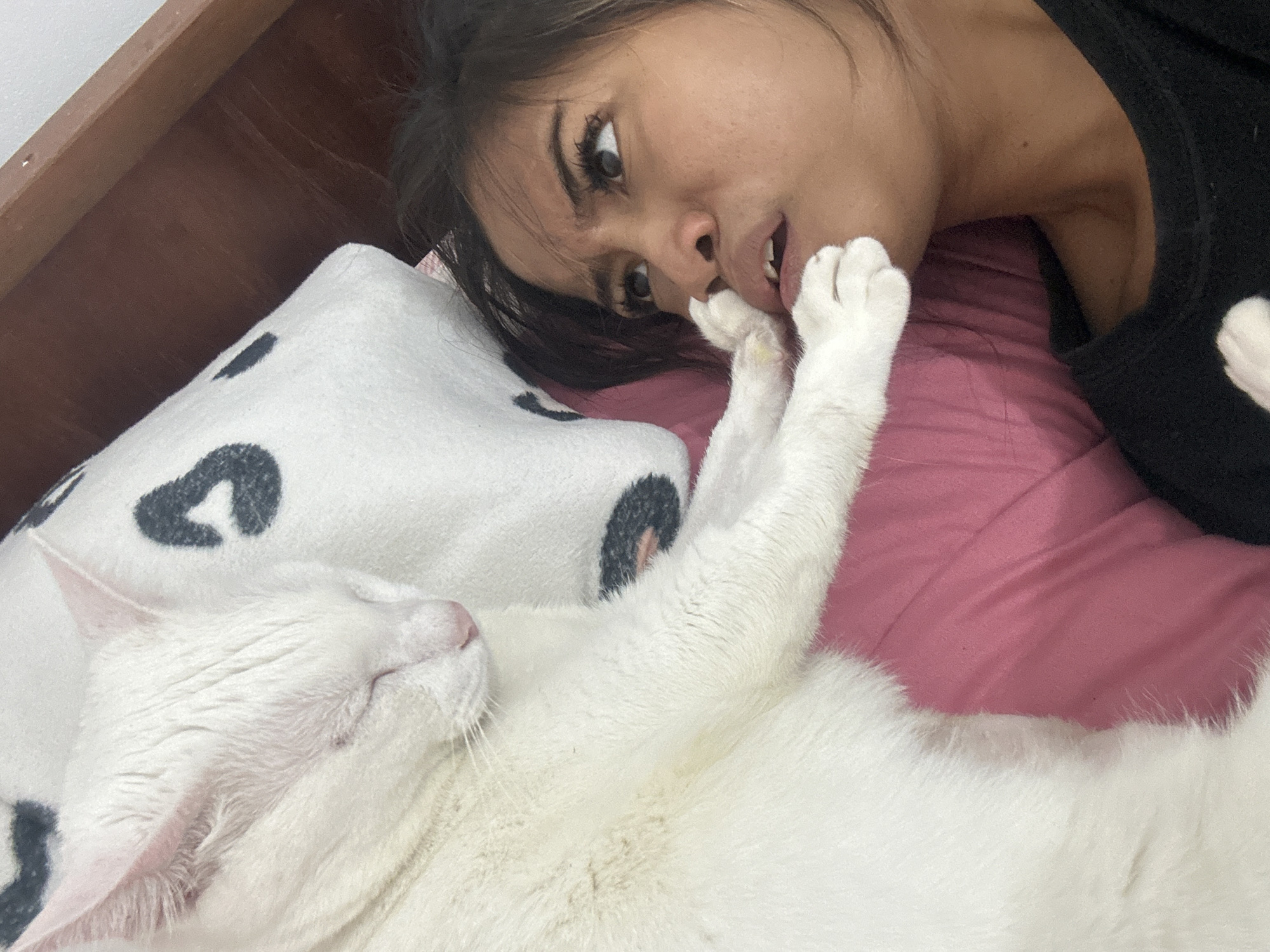 A close-up, top-down shot captures a white cat resting its paw on the face of a young woman. The cat's eyes are closed, and its head is tilted to the left. The woman's eyes are wide open, and her mouth is agape in a surprised expression. She is looking up at the cat. Both the cat and the woman are on a pink surface, possibly a bed, with a white pillow featuring black spots in the background. The scene appears to be indoors, with wooden beams visible in the upper right corner, suggesting the interior of a home. The image is shot in Sukawati, Indonesia.