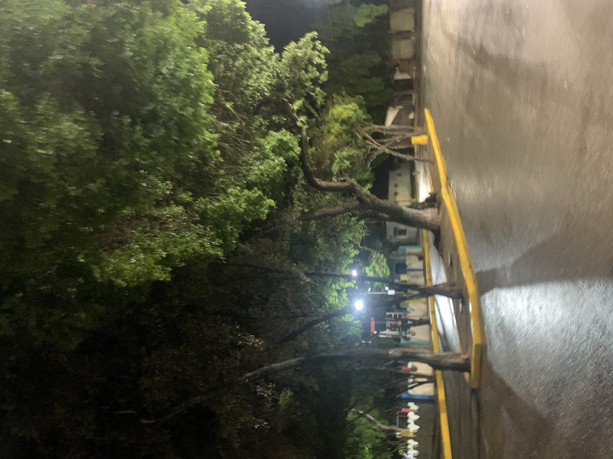 The image depicts a street scene at night, likely in Tacarigua, Venezuela, characterized by wet asphalt reflecting streetlights and shadows cast by trees. A prominent yellow curb runs along the edge of the street, separating it from a sparsely vegetated area with several trees. In the background, there are a few low-rise buildings, some of which appear to be illuminated. A playground structure with red and blue elements is visible behind the trees on the left side of the image. The overall atmosphere is dimly lit, with artificial lighting creating distinct highlights and shadows. There are no people or vehicles visible in the frame.