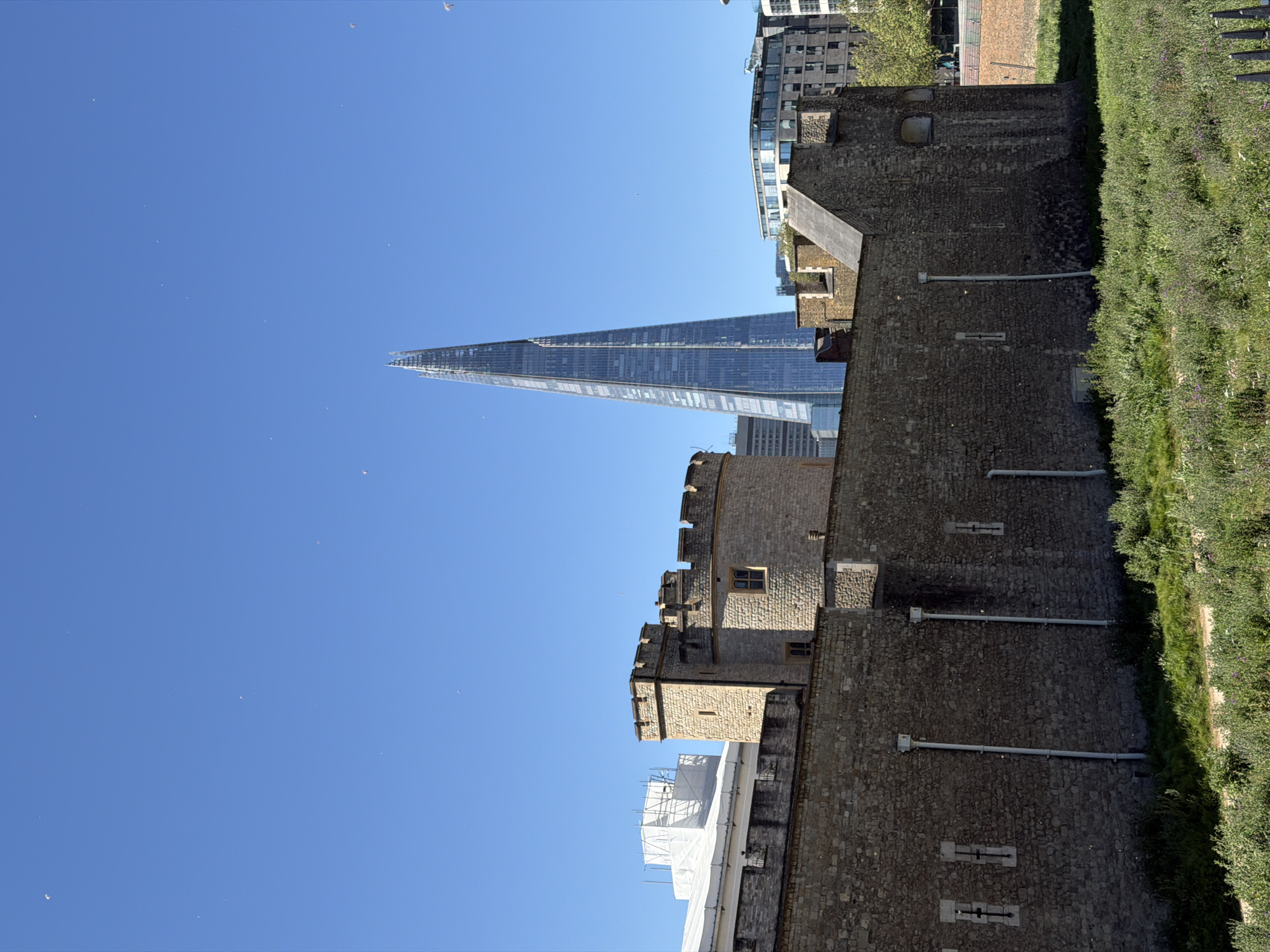 This image captures a vibrant daytime scene in London, United Kingdom, presenting a striking contrast between ancient and modern architecture. The prominent subjects are the historic Tower of London and the contemporary skyscraper, The Shard.
On the right side of the frame, the imposing, weathered stone walls and battlements of the Tower of London dominate the foreground and mid-ground. These walls, built from rough, grey blocks, feature small rectangular openings, likely windows or arrow slits, and vertical drainpipes. Along the base of the Tower, a lush strip of green grass or low-lying bushes runs horizontally, adding a natural touch to the historic structure. Behind parts of the Tower, other modern buildings are visible, blending into the urban backdrop. Scaffolding draped in white sheeting is visible near one section of the Tower, suggesting ongoing maintenance or construction.
Towering in the background, specifically towards the left and center of the frame, is the distinct, glass-clad structure of The Shard. Its sharp, pyramidal silhouette tapers upwards, reflecting the clear blue sky and surrounding elements.
The scene is bathed in bright daylight under a vast, unblemished blue sky, indicating clear and sunny weather. A scattering of tiny white specks can be seen across the sky, possibly distant birds or dust. No specific activities or people are discernible, and there is no visible text. The overall impression is one of architectural grandeur and the co-existence of different historical eras within a bustling city.