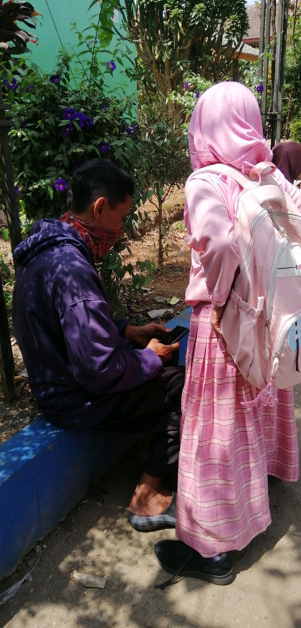 In a sunlit outdoor setting, possibly in Ajibarang, Indonesia, two individuals are interacting near a lush green wall adorned with vibrant purple flowers. To the left, a person wearing a purple hoodie and a red and white patterned mask is seated on a blue bench. They are holding a black smartphone in their hands, appearing to be engaged with the device. To the right, another individual, predominantly seen from behind, is wearing a pink hijab and a matching pink plaid dress. They have a light pink backpack with white accents slung over their right shoulder. The ground is a mixture of dirt and gravel, with shadows from overhead foliage dappling the scene. The environment suggests a casual public space, perhaps a garden or a waiting area, with the presence of both vegetation and architectural elements like a fence in the background.
