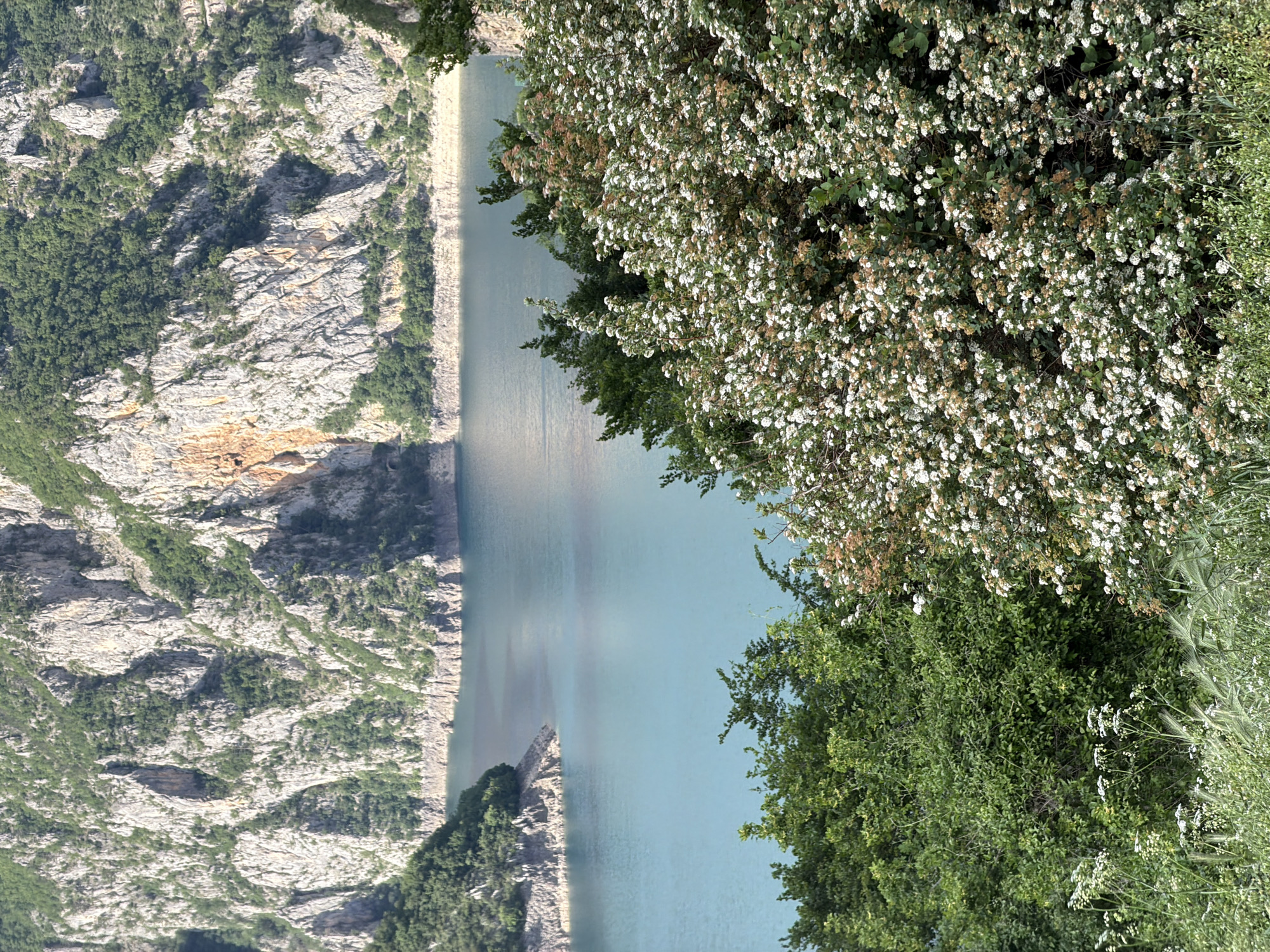The image shows a mountain landscape in Plužine, Montenegro. A body of water occupies the center of the frame, flanked by steep, rocky cliffs on the left. Vegetation, including flowering bushes with white blooms, is present on the right side of the image. The color of the water appears turquoise. The cliffs show variations in color and texture, with patches of green vegetation interspersed. The sky is not visible.
