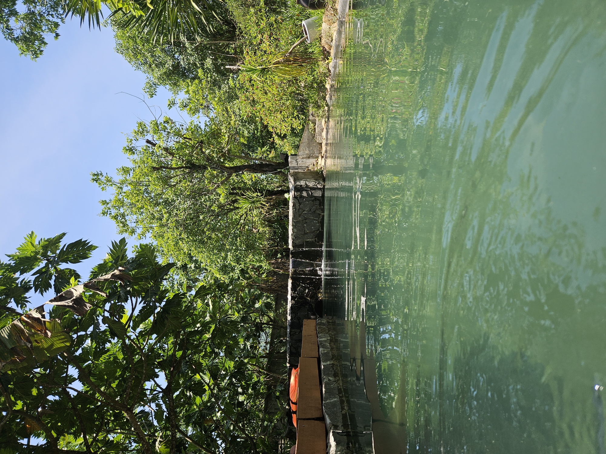 The image depicts a tranquil outdoor swimming pool surrounded by lush greenery. The water in the pool has a distinct greenish hue and shows ripples on its surface, reflecting the surrounding foliage and the clear blue sky. To the left of the pool, an orange life vest is visible, resting on a ledge made of stone and wooden planks. Behind the pool, a natural waterfall cascades down a rocky wall, adding to the serene ambiance. The background is filled with a dense canopy of trees and other vegetation, suggesting a natural or semi-natural environment. The scene appears to be a quiet retreat, possibly a resort or a private property, designed for relaxation and enjoyment of nature. The location is identified as a hot spring in Đà Nẵng, Vietnam, which aligns with the natural setting and the presence of a pool.
