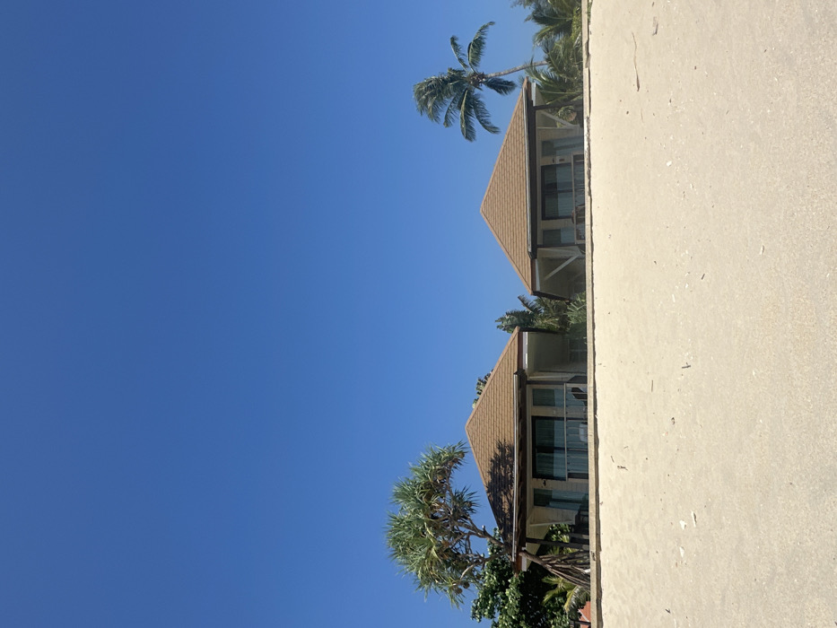 The scene depicts a sunny daytime view of a sandy beach in Phra Ae, Thailand, with two identical bungalows positioned on elevated ground beyond the sand. The foreground features light beige sand, lightly scattered with small white debris. Above the sand, two single-story bungalows with light brown tiled, pitched roofs and white exterior walls are visible. Each bungalow has a front balcony with dark-framed sliding glass doors and a railing. A multi-trunked tree with spiky, elongated green leaves stands to the left of the left bungalow. Various green foliage is present behind and between the bungalows. To the right of the right bungalow, a tall palm tree with green fronds is visible. The sky above is clear and uniformly bright blue. No people, discernible actions, or interactions are visible in the image.