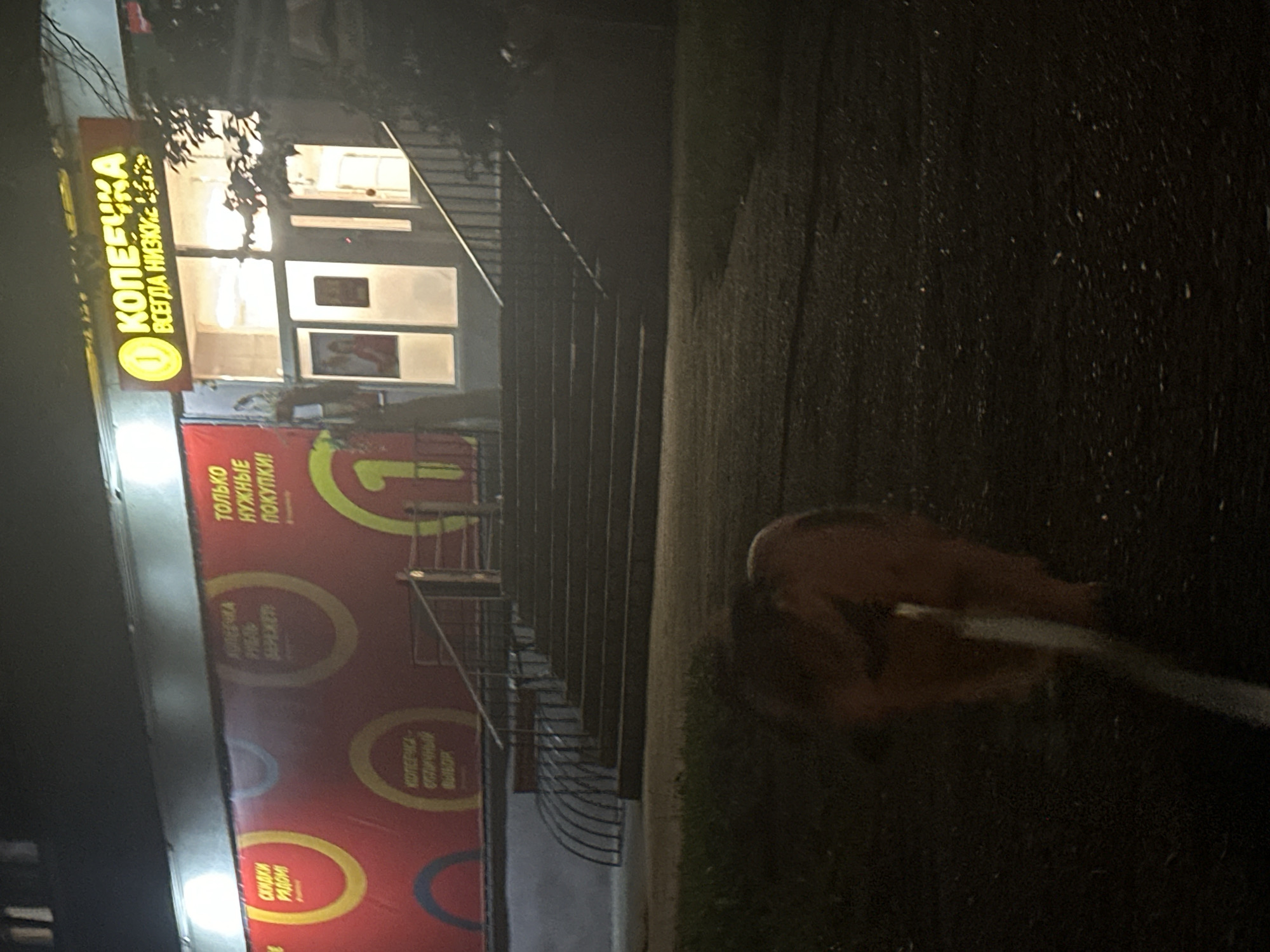 The image captures a nighttime street view of a store identified as "KOПEПEПKA" (Kopeechka), which translates to "Kopeck," a unit of currency. The store is illuminated by bright neon signage displaying the store name and the slogan "ВСЕГДА НИЗКИЕ ЦЕНЫ" (Always Low Prices). The store appears to be a retail establishment, likely a supermarket or a convenience store, as suggested by the branding and the extensive red banner on the left side of the building with text in circles, one of which reads "СКИДКИ РЯДОМ" (Discounts Nearby). There are stairs leading up to the entrance, and a handrail is visible. In the foreground, a dog is partially visible, walking on a leash. The environment is dark, indicating it is nighttime, with some ambient light from the store and possibly streetlights. The location is identified as Minsk, Belarus.