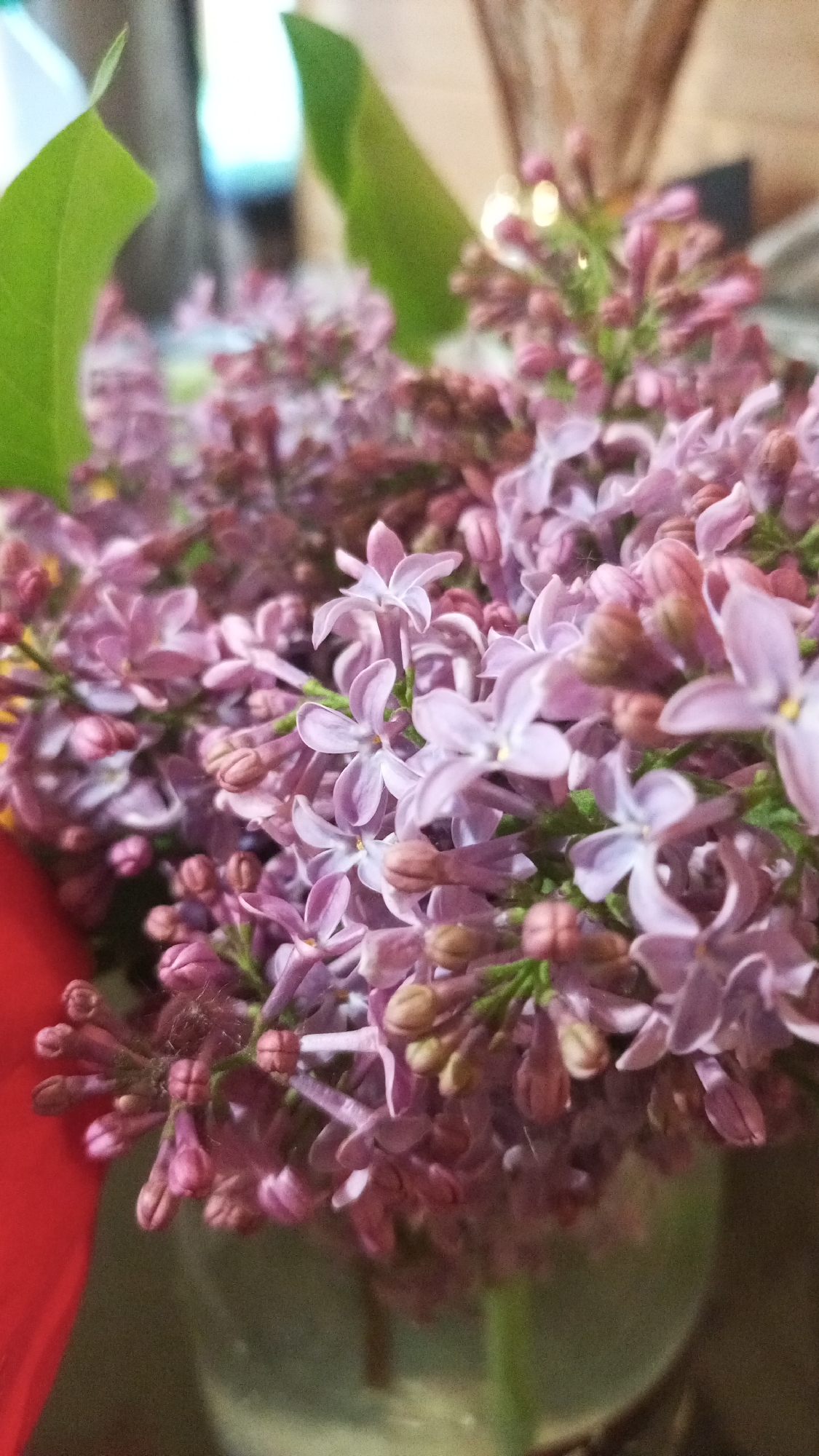 The image depicts a close-up shot of a bouquet of light purple lilacs in a clear vase. The flowers are in full bloom, with many buds also visible. The leaves are a vibrant green. The background is blurred, but appears to be a dark interior space. The presence of Юдино, Russia cannot be determined from the given image.