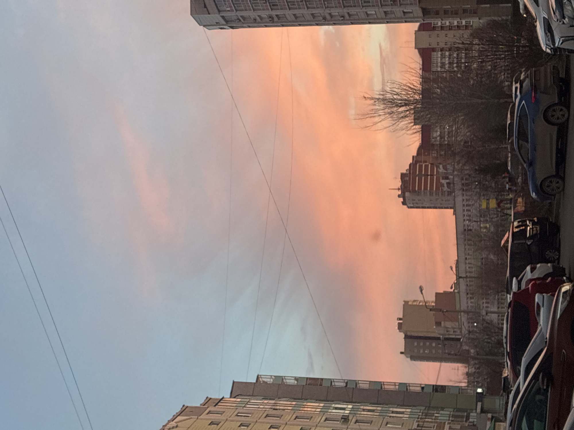 The image captures an urban or suburban scene during twilight, showcasing a sky painted with vibrant sunset or sunrise colors. The original image is rotated 90 degrees counter-clockwise; when viewed upright, the horizon runs horizontally across the frame.
In the foreground, on both the left and right sides, parts of multi-story residential buildings are visible, constructed with concrete and displaying numerous windows. On the right side, a line of parked cars is visible, including a blue car and parts of several other vehicles in dark grey/black and red/maroon.
The dominant feature is the sky, which transitions from a light blue-grey on the left to striking shades of orange, pink, and peach towards the right, indicative of either a sunrise or sunset. Thin power lines or utility wires crisscross the upper half of the sky, extending diagonally across the frame.
In the middle ground, nestled between buildings, are bare tree branches, suggesting a late autumn or winter season. Several more buildings, varying in height and architectural style, are visible further back on the right, some catching the warm glow of the sky. A streetlight can also be discerned among these structures.
The scene depicts a quiet moment in a populated area, with no human activity directly observed. No discernible text is visible on any of the objects or buildings.