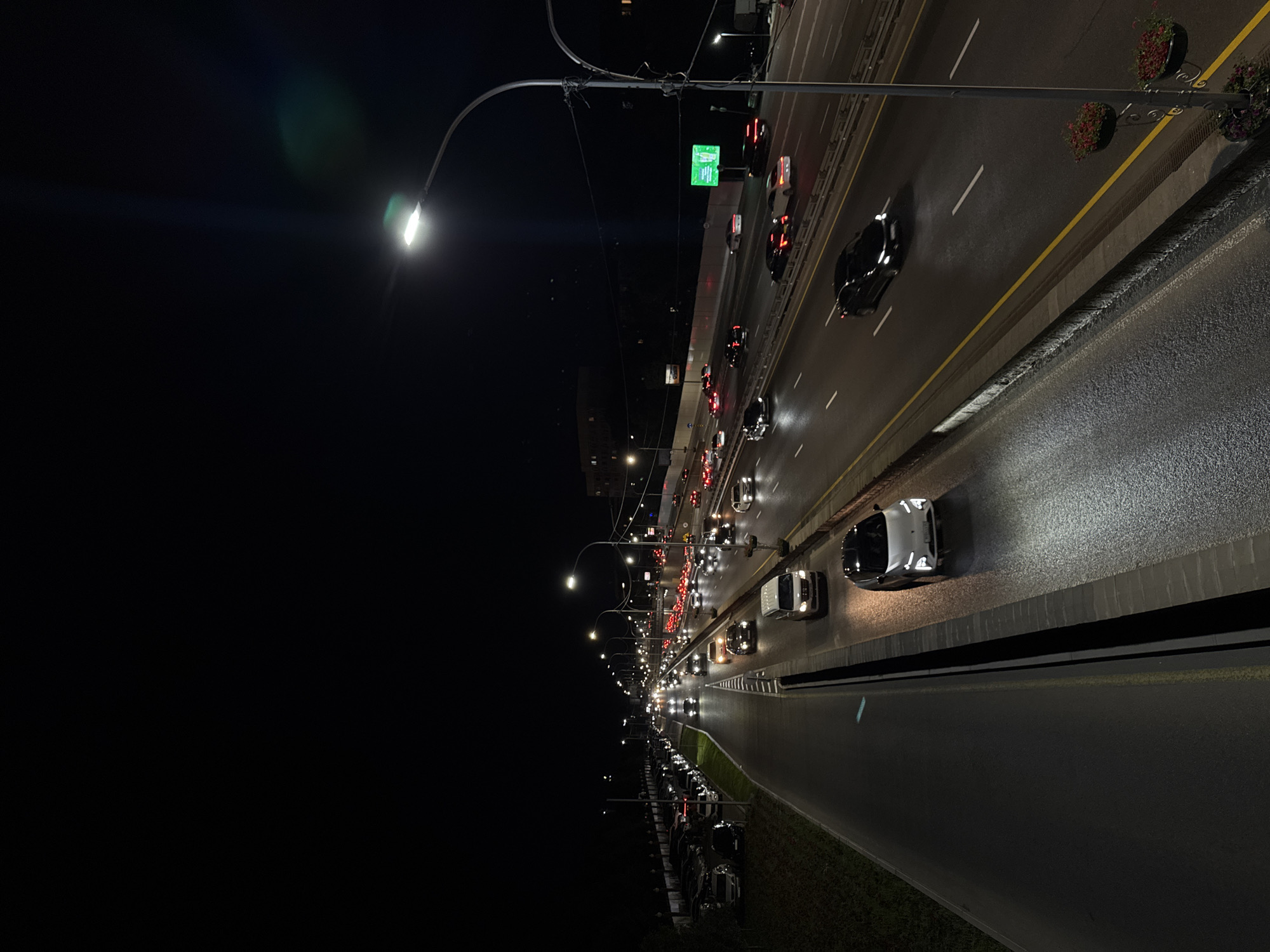 The image depicts a nighttime view of a multi-lane highway in Almaty, Kazakhstan, characterized by heavy traffic and illumination from streetlights and vehicle headlights. The highway appears to be elevated or on a bridge, with cars moving in both directions. On the left side of the highway, a parking lot filled with vehicles is visible, separated from the road by a grassy embankment. The road surface is wet, reflecting the lights and suggesting recent rainfall. Several streetlights line the highway, casting a bright glow. In the distance, city lights and buildings are faintly discernible against the dark sky. One lane of the highway has a significant traffic jam, with many cars stopped or moving very slowly. Another lane shows cars moving at a moderate pace. A prominent digital billboard displaying green text is visible on the right side of the highway. Two hanging flower pots with red flowers are mounted on a lamppost near the foreground on the right.