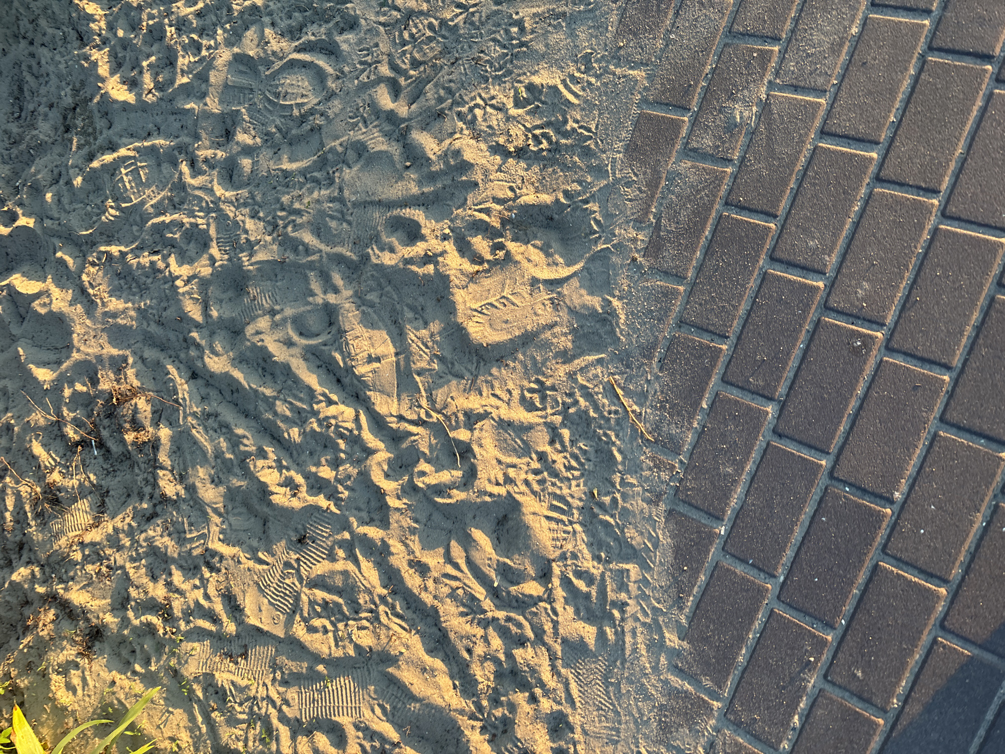 The image depicts a close-up, high-angle view of a sandy area with numerous footprints, adjacent to a paved walkway made of rectangular bricks. The sand is uneven, showing the impression of shoe soles and other disturbances. Sunlight casts long shadows across the sand, highlighting the texture and depth of the footprints. The paving stones are laid in a regular pattern and appear to be made of dark material with lighter grout lines. A few blades of green grass are visible in the upper left corner, suggesting an outdoor setting. The scene is devoid of people or specific identifiable landmarks, offering a generalized view of a pathway and sandy ground. There is no information within the image to determine its specific location within Bila Tserkva, Ukraine.