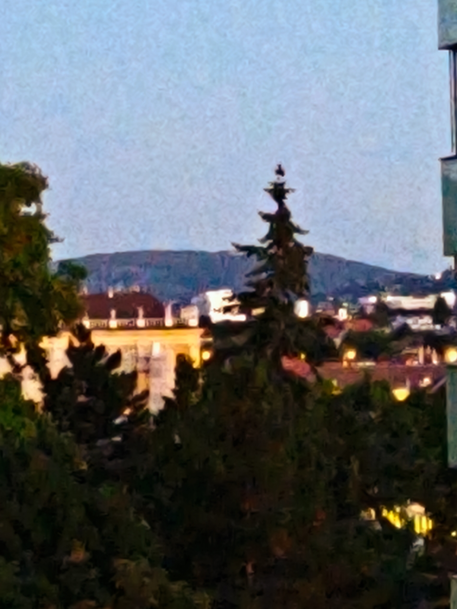 The image depicts a twilight scene in the city of Vienna, Austria. In the foreground, dense, dark green foliage of trees obscures much of the lower portion of the frame. A slender, dark evergreen tree stands out prominently, reaching towards the sky in the mid-ground. Beyond the trees, a series of buildings with illuminated windows are visible, suggesting an urban environment. The architecture appears to be traditional, with red-tiled roofs and light-colored facades. In the background, a hazy, undulating mountain range forms the horizon under a pale blue, dusky sky. A hint of modern construction is visible on the right edge of the frame, a vertical element of a building.