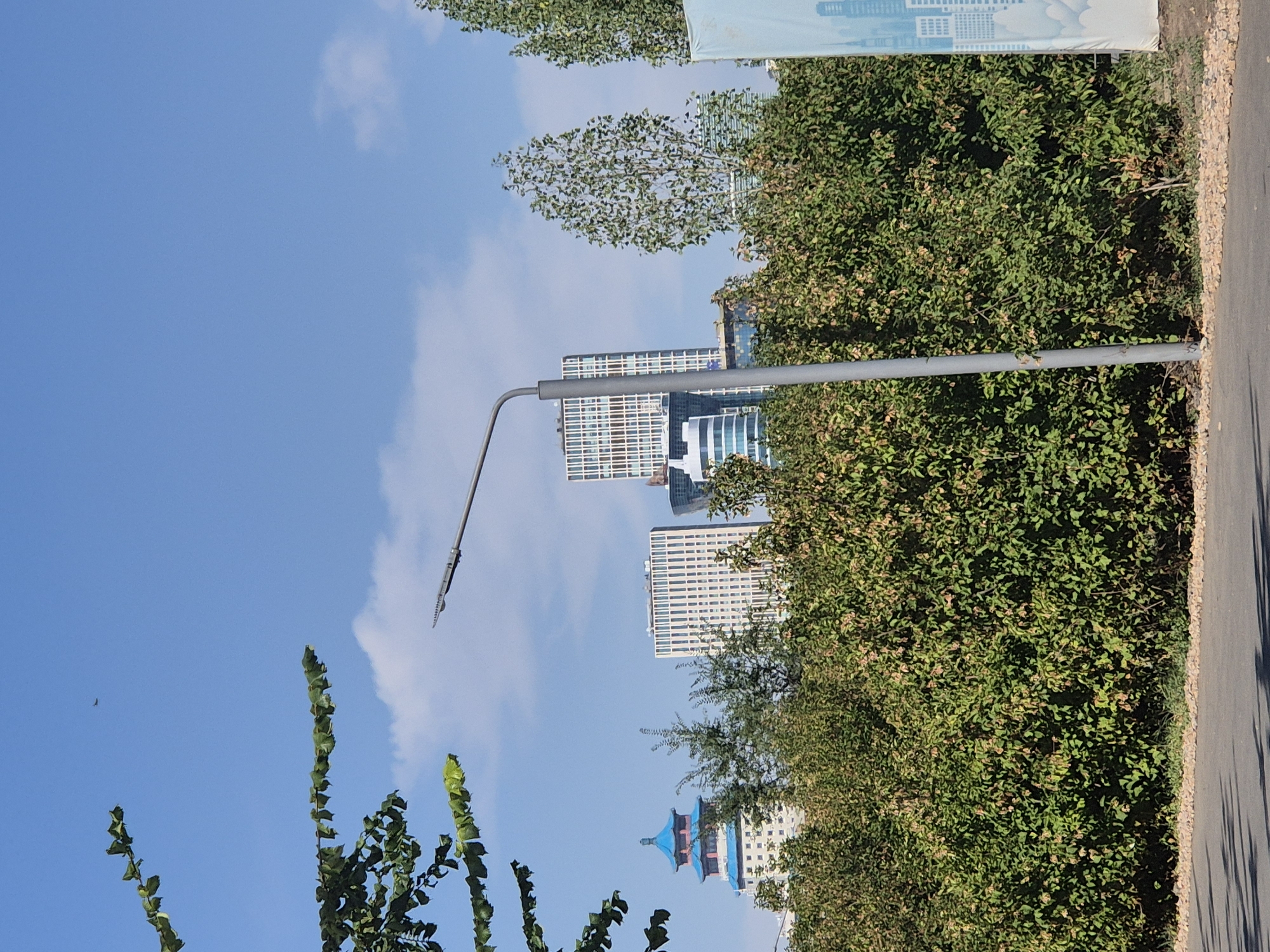 A vertical, eye-level, medium shot shows a clear, blue sky with a few clouds, a prominent street lamp in the foreground, and a dense green hedge with some dry leaves in front of modern buildings, and a stylized traditional building in Astana, Kazakhstan. A single, small dark object, possibly a bird or a drone, is visible in the upper left quadrant of the sky. The street lamp, positioned slightly to the right of center, is gray and its light fixture points upward and to the left. The hedge is thick and extends across the lower half of the frame, with some areas of dry leaves suggesting late summer or early autumn. Behind the hedge, several modern high-rise buildings are visible, their architecture characterized by geometric patterns and glass facades. To the left of these, a building with a distinct blue, pagoda-style roof stands out, representing a blend of traditional and modern architectural influences in Astana. A paved surface, likely a road or sidewalk, with a scattering of small stones along its edge, occupies the bottom of the image. The overall scene depicts an urban environment in Astana, showcasing a mix of natural elements and contemporary architecture under a bright sky.