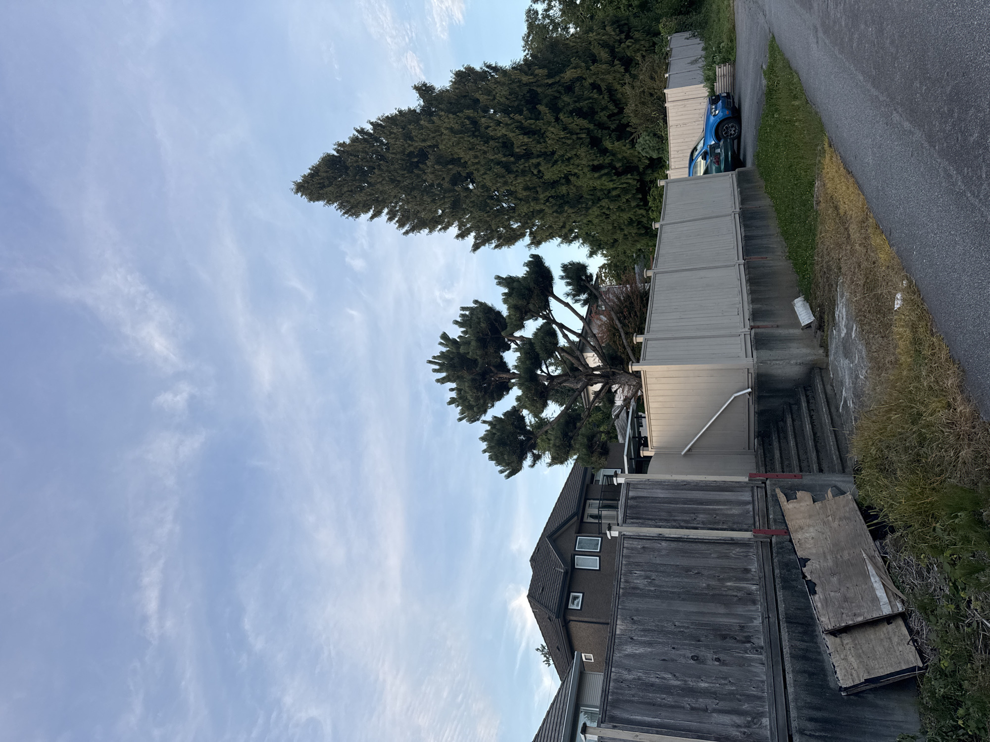 In Coquitlam, Canada, a residential street scene unfolds beneath a pale blue sky dotted with wispy clouds. A grey wooden fence dominates the foreground, appearing weathered and partially covered by greenery. To the left, two pieces of dilapidated plywood lean against the fence. Beyond the fence, a light beige fence with white post caps extends along the property line.
Behind the fences, a dark brown house with a gabled roof and multiple windows is visible. A distinctive pine tree with a sculptural form stands in the middle ground, its branches spread wide. To the right of this pine, a towering, dense evergreen tree rises majestically.
Further down the street, two vehicles are parked: a dark green car partially visible on the left, and a bright blue SUV to its right. The ground to the right of the beige fence is a mix of grass and asphalt, suggesting a driveway or parking area. A set of concrete stairs leads down from the beige fence. The overall impression is one of a suburban neighborhood during daylight hours.