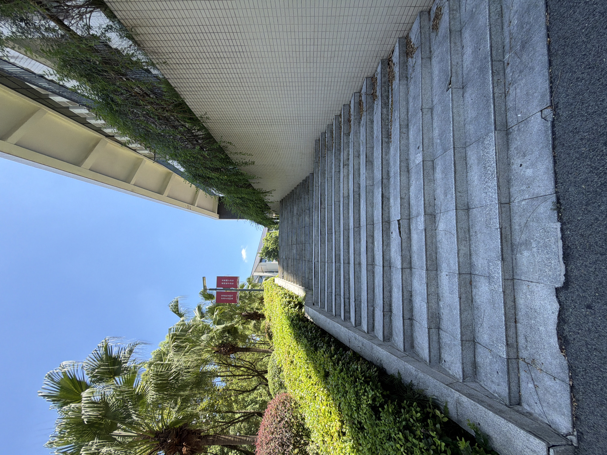 An outdoor, upward-angled, low-angle shot captures a wide, stone staircase leading towards a modern building with a tiled wall and a long, covered overhang. The staircase is flanked by lush green bushes and trees, including palm trees, on the left, and a white tiled wall on the right. Two red banners with Chinese text are visible on poles near the top of the stairs. The sky is a clear, bright blue. The scene appears to be in a well-maintained outdoor area, possibly a public space or campus in Jiangjin, China.