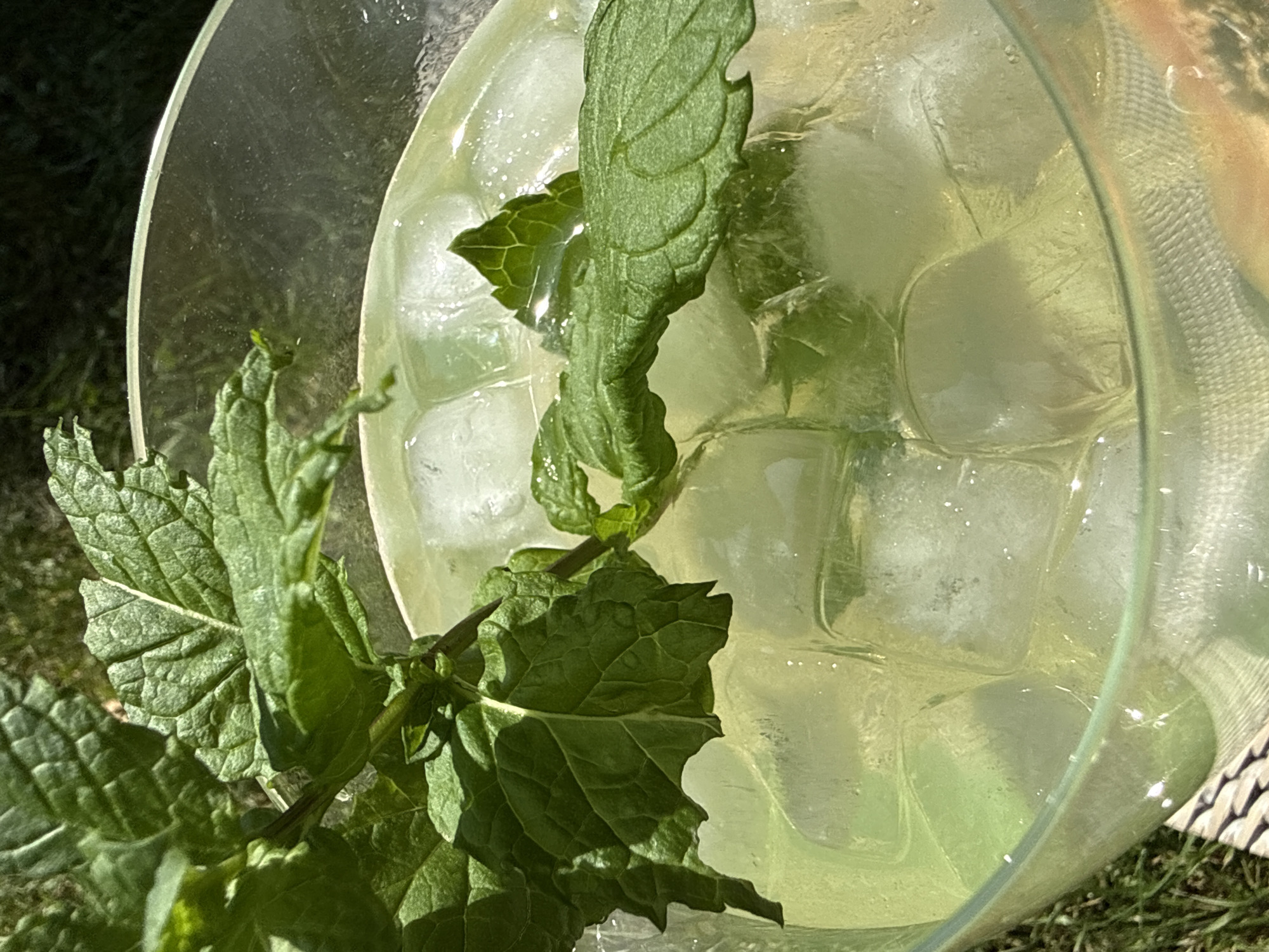 A close-up shot captures a refreshing drink in a clear glass, filled with ice and a sprig of mint. The drink is a pale yellow-green, suggesting it could be a lemonade or a similar beverage. The mint leaves are vibrant green and appear to be fresh, adding a natural and cooling element to the scene. The glass is set against a backdrop of lush green grass, indicating an outdoor setting. A hint of a woven placemat can be seen beneath the glass, suggesting it's placed on a table or outdoor furniture. The lighting suggests it is daytime, with sunlight illuminating the drink and casting shadows. This scene evokes a sense of summer relaxation and refreshment. There are no people present in the image, and no specific landmarks of Bad Sachsa, Germany, are visible.