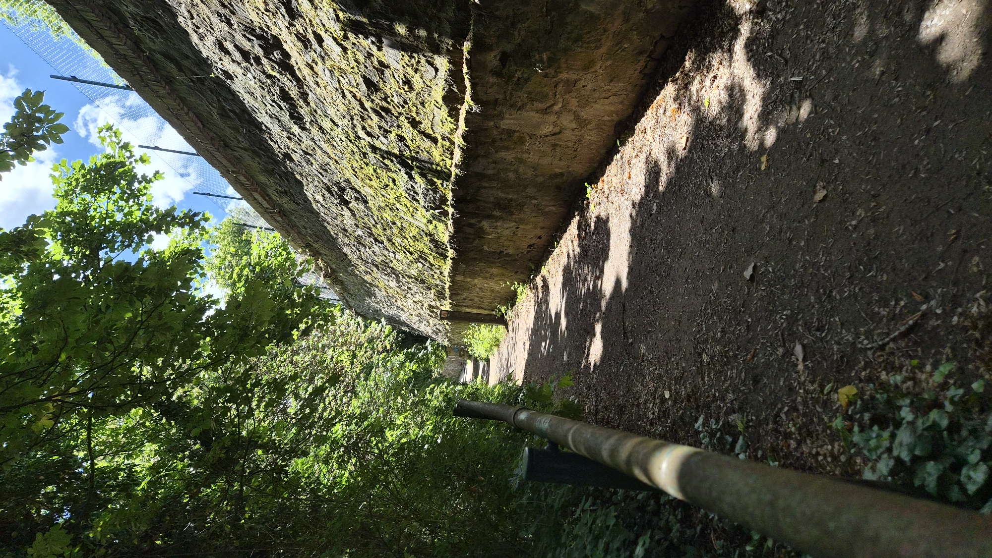 The image presents a narrow, unpaved pathway flanked by a tall stone wall on the right and dense green foliage on the left. The path itself is covered with dirt, scattered leaves, and debris, with pronounced shadows from the overhead trees dappling its surface.
On the right, a weathered stone wall rises steeply, its rugged surface partially covered in green moss and other small plants, suggesting considerable age. Along the top of this wall, a light-colored mesh fence, supported by several dark vertical posts, is visible against the sky. Through the canopy of trees on the left, patches of bright blue sky with scattered white clouds are discernible.
The left side of the path is bordered by a vibrant mass of green trees and undergrowth, their leaves illuminated by the sunlight filtering through. In the lower foreground, a long, dark metal pipe, likely a handrail or part of a protective barrier, extends parallel to the path.
The scene depicts a tranquil outdoor setting, typical of a walking trail or pathway within a natural or historic area, such as found in Jihlava, Czechia. The strong shadows indicate it is daytime, possibly morning or late afternoon. No individuals are present, and no particular activity is occurring. There is no visible text in the image.