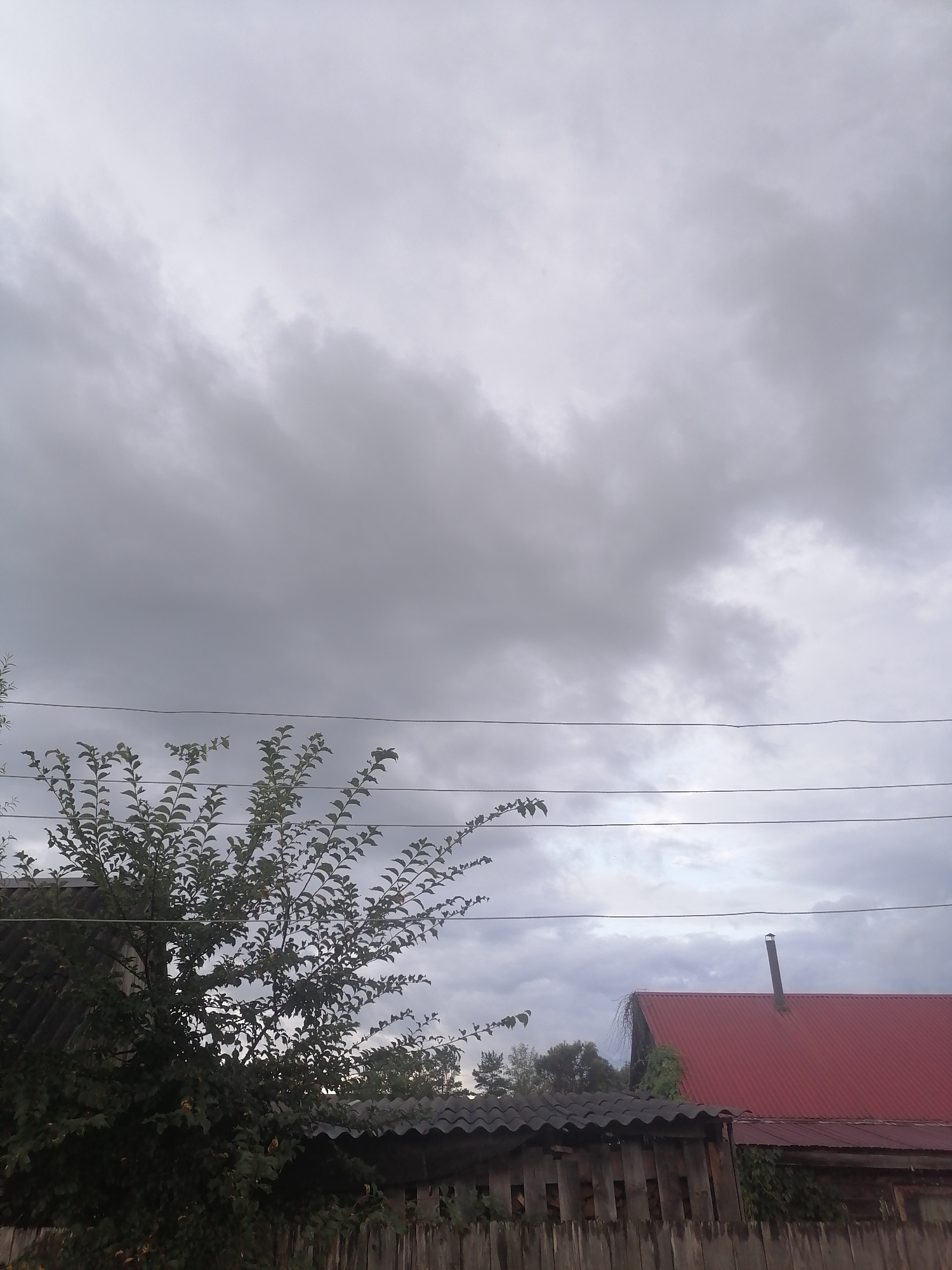 The image depicts an overcast sky above a rural scene in Novopokrovka, Russia. In the foreground, a weathered wooden fence runs horizontally across the bottom of the frame. Behind the fence, a dense green tree with delicate branches and leaves occupies the left side of the image. To the right of the tree, a building with a bright red, corrugated metal roof is visible, featuring a dark chimney pipe extending vertically. Another building with a dark, corrugated roof is situated to the left of the red-roofed structure. Several electrical wires stretch across the middle ground of the image, running parallel to each other. The sky is filled with grey, textured clouds, suggesting a cloudy or possibly stormy day. The overall impression is one of a quiet, somewhat subdued rural environment under a heavy sky.