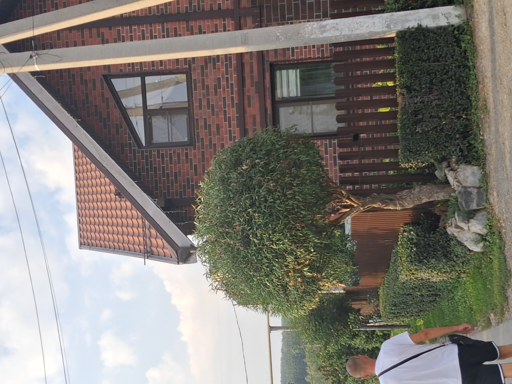 An unidentified bald male wearing a white t-shirt and black shorts walks away from the camera on a paved path beside a meticulously trimmed hedge. Behind the hedge is a brown wooden fence. Beyond the fence is a two-story brick house with a red tiled roof. The house has a triangular window on the upper floor and a rectangular window on the lower floor. The area is surrounded by greenery, with trees and foliage visible. A large utility pole stands near the house. The sky is partly cloudy. The image appears to have been taken on a sunny day. The location is identified as Novosibirsk, Russia.