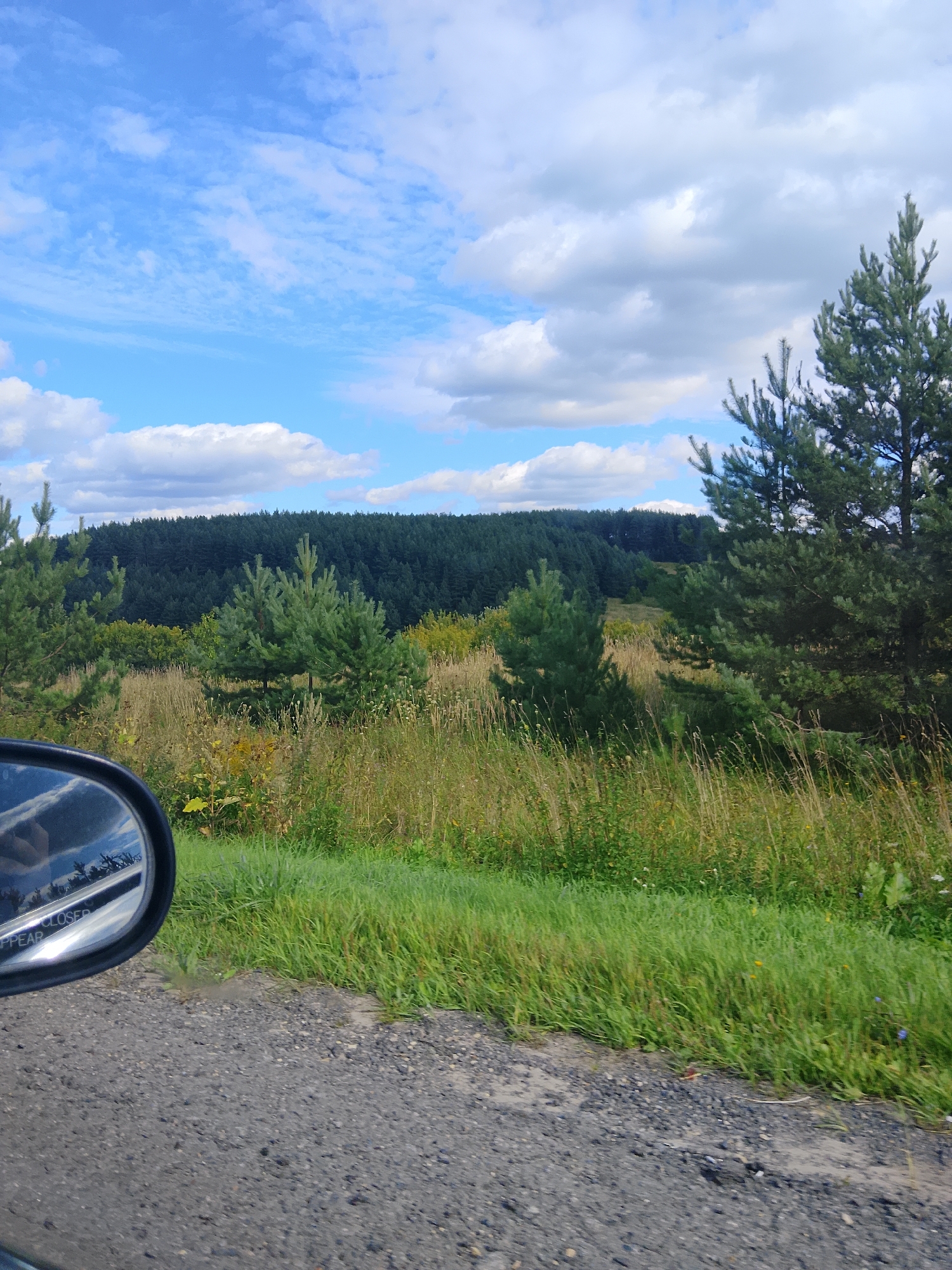 The image captures a rural landscape under a bright, cloudy sky. A rearview mirror is visible in the lower left, reflecting a portion of the sky and some trees. Beyond the mirror, a gravel road runs diagonally across the bottom of the frame, bordered by lush green grass. Further into the scene, a field of tall, dry grasses and scattered yellow flowers leads to a dense forest on a rolling hill. The forest is composed of dark green coniferous trees. The sky above is a vibrant blue, dotted with fluffy white clouds, some of which appear to be cumulus clouds. The scene suggests a sunny day in a natural, undeveloped area, possibly on the outskirts of Arefino, Russia, given the characteristic rolling hills and dense forest common in the region. There are no people or specific structures visible that would pinpoint an exact location within Arefino.