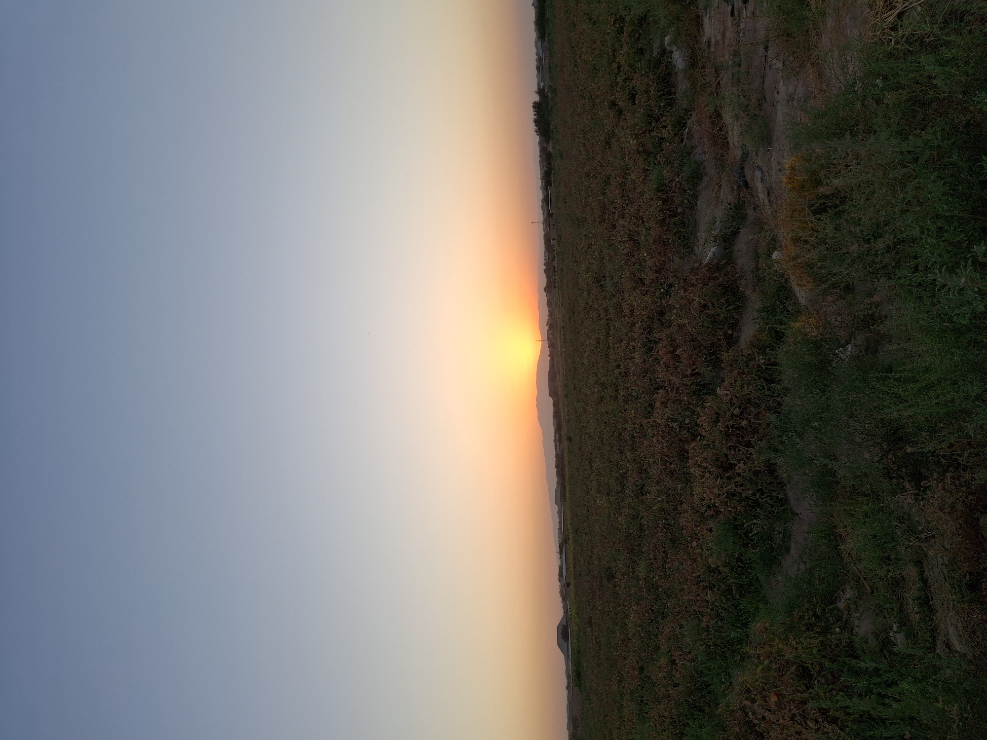 The image depicts a rural landscape at sunset, possibly in Utmayli, Uzbekistan. The sky transitions from a clear, pale blue at the top to warm hues of orange and yellow near the horizon where the sun is setting behind a range of distant, silhouetted mountains. In the foreground, a field of low-lying vegetation, appearing somewhat dry and reddish-brown in places with patches of green grass, covers the majority of the image. The terrain is uneven, with visible sandy or dirt patches interspersed among the plants. In the far distance, a few structures and what appear to be trees or shrubs are faintly visible against the darkening landscape. The scene is serene and appears to capture the natural beauty of the countryside during twilight. There are no people or animals present in the frame.