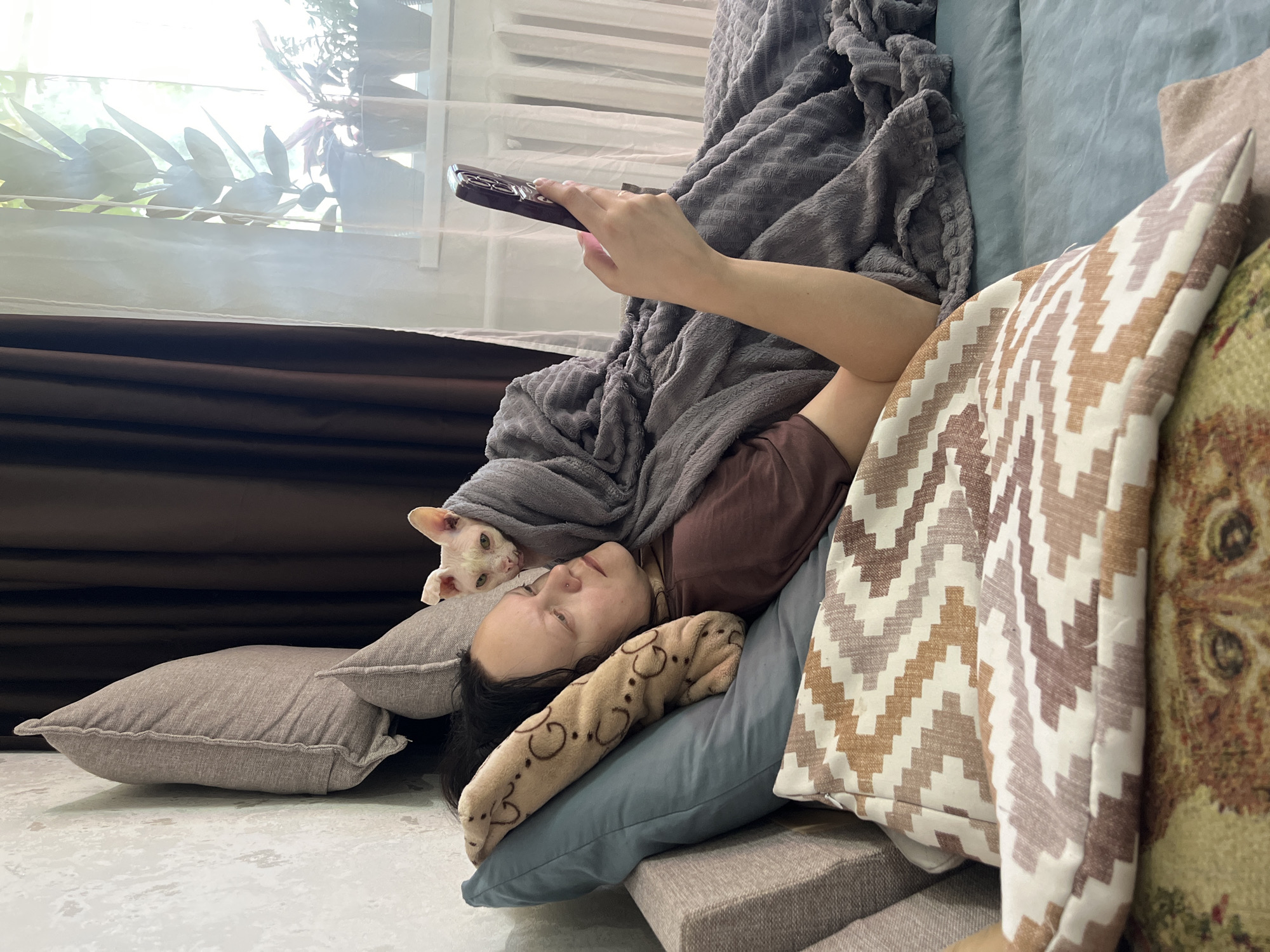 A person is lying on a couch with a cat wrapped in a blanket on their chest. The person is looking at a smartphone. The room is lit by natural light coming from a window. Plants are visible on the windowsill. A patterned pillow is in the foreground. The couch is covered in a blue fabric. The walls are textured.