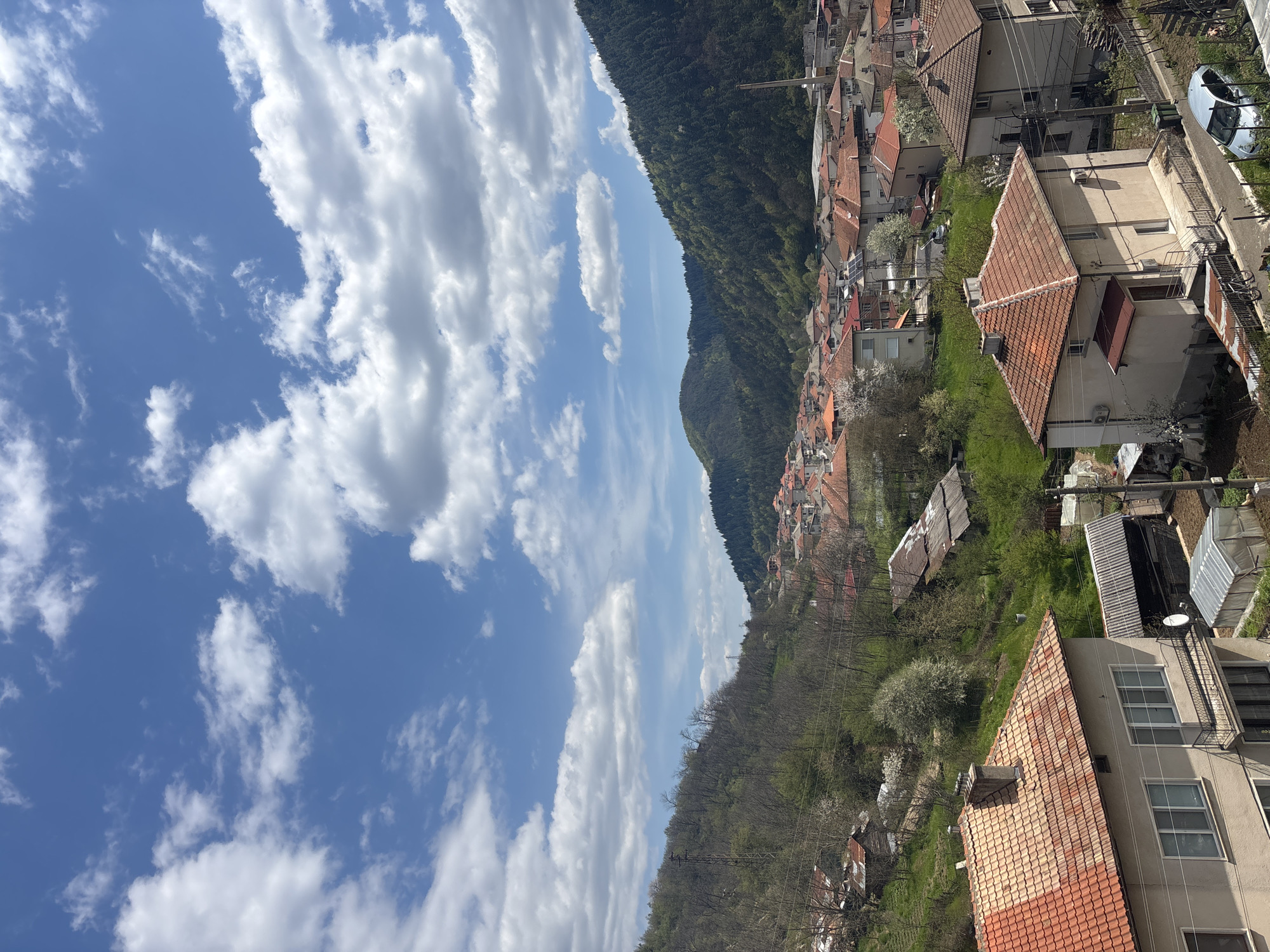 A vertical, high-angle daytime shot shows a section of Zlatograd, Bulgaria, featuring a mix of residential buildings with red-tiled roofs nestled along a mountainside. A steep, tree-covered mountain ascends towards the right edge of the frame, with dense green foliage at the top transitioning to less dense areas lower down. The sky occupies the left half of the image, filled with numerous puffy white clouds against a blue backdrop. Houses are concentrated on the right side, with a mix of sizes and architectural styles. Green patches of grass and trees dot the spaces between the buildings. Overhead power lines are visible in the foreground. No people are visible.
