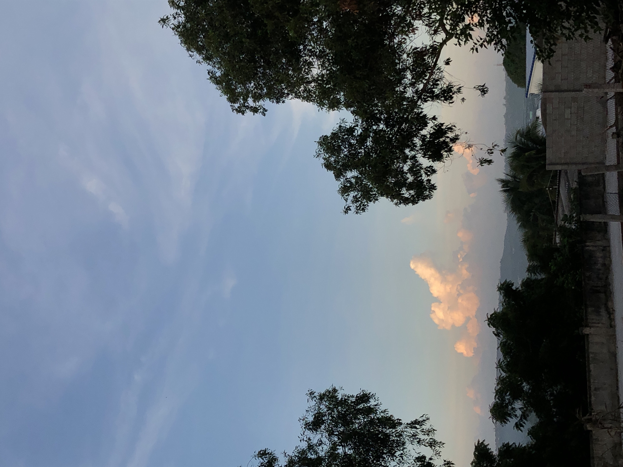 This is a photograph of the sky and a landscape, likely taken at dusk or dawn, from a vantage point within or near Mũi Né, Vietnam. The sky is a pale blue with wispy white clouds. A few brighter, pinkish clouds are visible in the distance, possibly illuminated by the setting or rising sun. Silhouetted against the sky are the dark green canopies of several trees. In the foreground, there is a low concrete wall, and beyond that, hints of buildings and palm trees suggest a semi-urban or suburban environment. The overall impression is one of tranquility, with the natural elements of sky and trees dominating the scene.