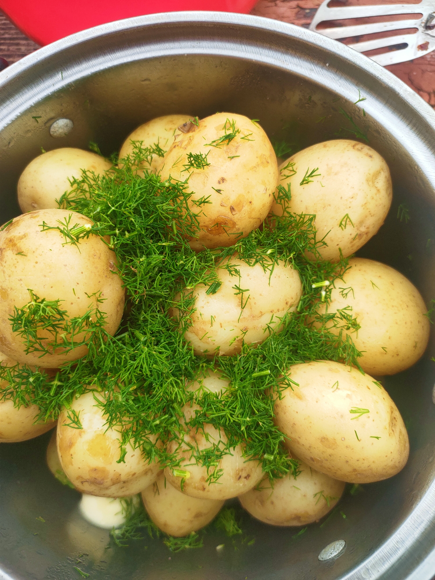 A close-up, top-down view shows a stainless steel pot filled with boiled new potatoes and fresh dill. The potatoes are small and round with light yellow skin, some showing brown speckles. The dill is finely chopped and scattered generously over and between the potatoes, adding a vibrant green contrast. The pot is partially filled with what appears to be water or broth, with a few shiny reflections visible. The background is out of focus, but hints of a red surface and a wooden texture can be discerned, along with the edge of a metal utensil with tines. The scene is captured from directly above the pot, emphasizing the texture and color of the ingredients. The image does not contain any elements that would indicate a specific location in Kremenchuk, Ukraine.