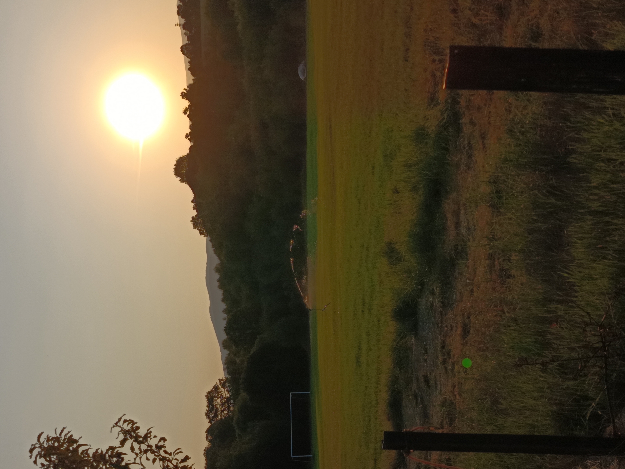 The image depicts a sunset over a rural landscape, likely in or near Kralev Dol, Bulgaria. The sun is a bright orb in the upper right quadrant, casting a warm glow over the scene. In the foreground, tall grass lines a dirt path, with two dark fence posts framing the left and right sides. A small, bright green object is visible on the grass in the lower left quadrant. Beyond the path, a large, green field stretches out, featuring a soccer goal on the left side. In the mid-ground, a sprinkler system is active, casting a misty arc of water that catches the sunlight. The background is dominated by a dense line of trees and rolling hills, with a hint of mountains in the distance. The overall atmosphere is peaceful and serene, with the natural beauty of the landscape highlighted by the warm hues of the setting sun.