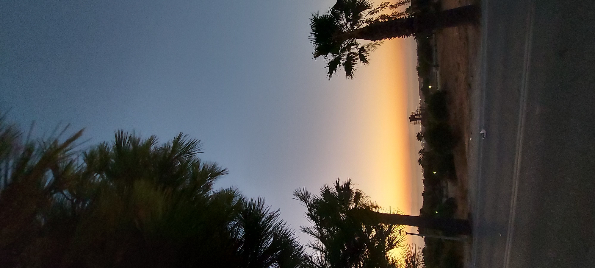 The image captures a twilight scene on a road with two palm trees in the foreground. The sky transitions from a deep blue at the top to a soft orange and yellow hue near the horizon, indicating the sunset or sunrise. In the middle ground, there is a strip of dry land with scattered vegetation and a few distant lights. A tall, dark structure, possibly a tower or construction, is visible on the right side of the horizon. The road in the foreground is asphalt, with a white line marking the lane. A small, white object, possibly trash, is present on the right side of the road. A large, dark tree, likely a pine, is partially visible in the upper left corner of the frame. The overall impression is a serene, natural landscape with a hint of human development.