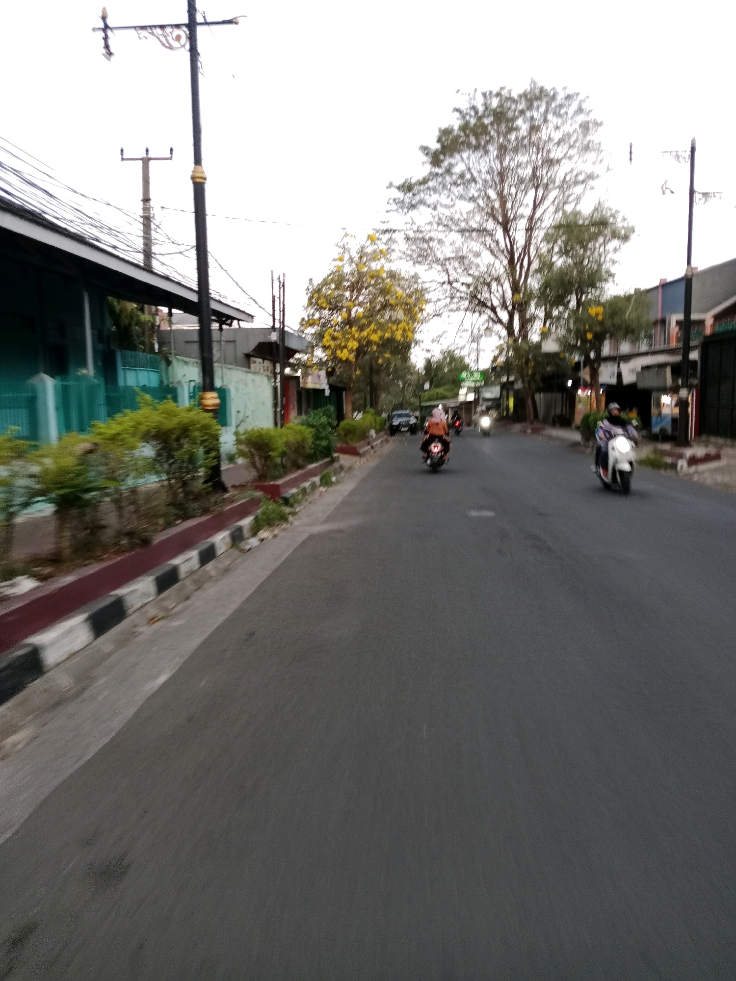 The image depicts a street scene in Cianjur, Indonesia, on an overcast day. The perspective is from a moving vehicle, likely a motorcycle, looking forward down a paved road. On the left side of the road, there is a sidewalk with a low border marked with black and white stripes. Beyond the sidewalk, there is a building with a green facade and a dark roof, bordered by a teal-colored fence. A series of neatly trimmed green bushes line the sidewalk area. In the background, a tall, dark lamppost stands near the left edge of the frame, with overhead power lines extending across the sky.
The road itself has a dark asphalt surface with some visible texture. Several motorcycles are present on the road. One white scooter is in the right lane, ridden by a person wearing a dark helmet and a patterned jacket. Further ahead in the same lane, another motorcycle with a rider is visible, but less clear. In the left lane, there are two more motorcycles. One, closer to the viewer, has a rider wearing a brown jacket and a pink headscarf. Another motorcycle is further ahead in the left lane. Trees with yellow blossoms are scattered along the right side of the road, interspersed with buildings. The overall impression is a typical urban street in Indonesia during the day, with moderate traffic.