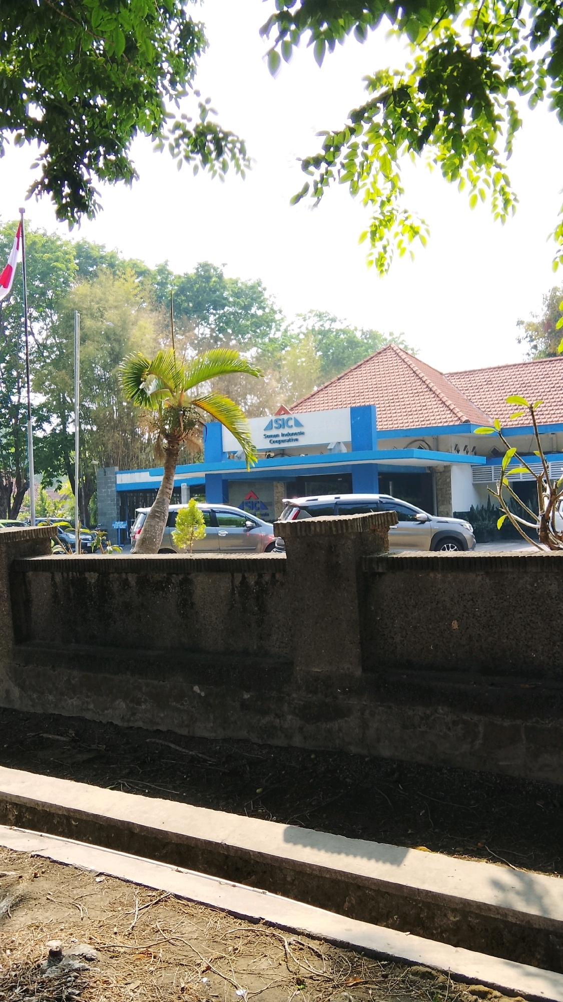 The image depicts a sunny outdoor scene in front of a building with a blue and white facade. The building has a terracotta-tiled roof. A logo with the letters "SIC" and the text "Semen Indonesia Cooperative" is visible on the building's facade. In front of the building, several cars are parked. A prominent palm tree stands to the left of the building. A concrete wall runs along the foreground of the image, with a dry ditch below it. Trees and foliage are visible in the background, and some branches with green leaves hang into the frame from the top. A red and white flag is also visible on a flagpole to the left of the building. The location is identified as Tlogobendung, Indonesia.