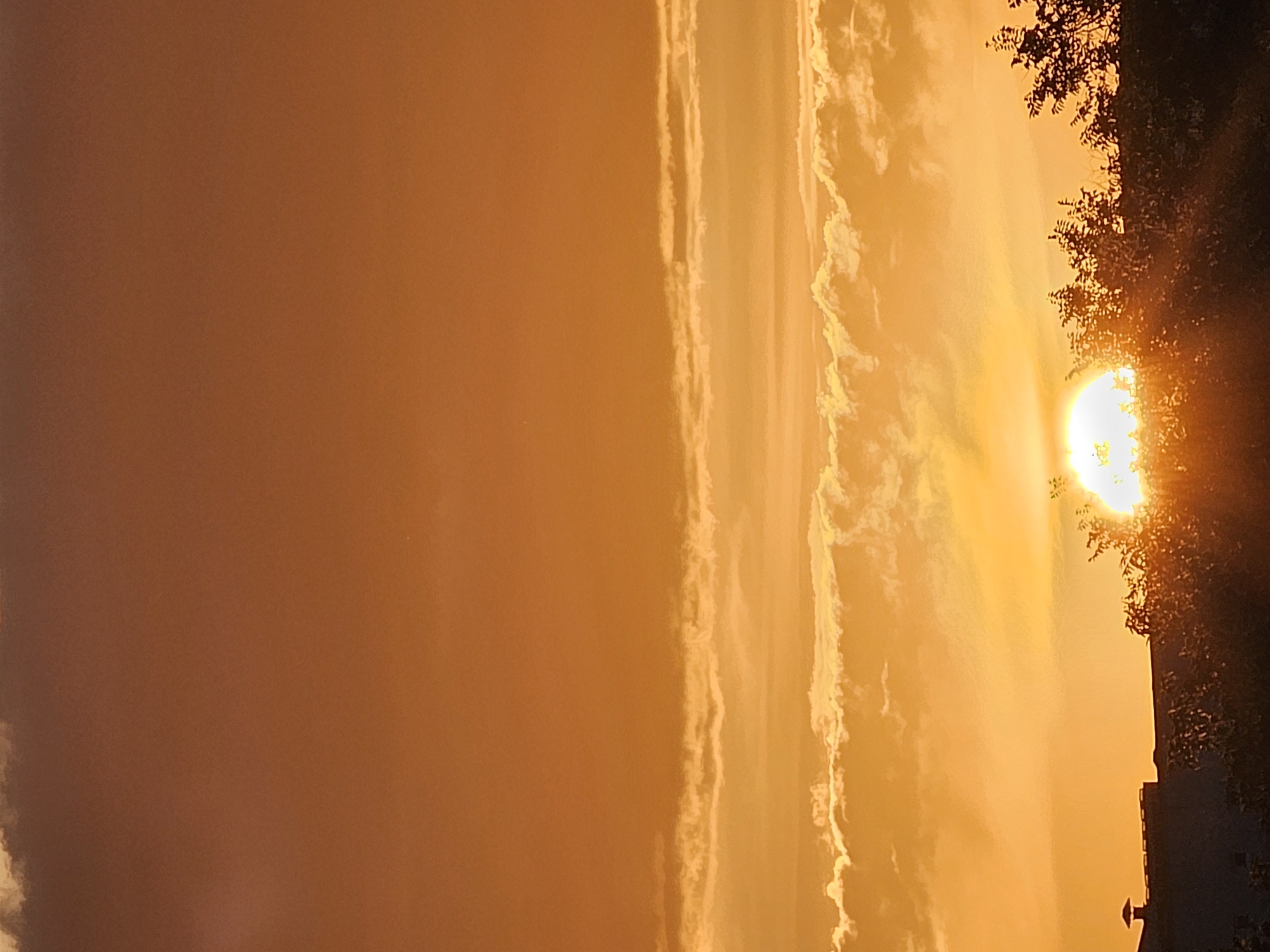 The image depicts a sunset over a residential area, likely in Khimki, Russia, given the context provided. The sky is dominated by warm orange and yellow hues, indicative of the sun nearing the horizon. Several layers of clouds are visible, with the lower clouds appearing brightly illuminated by the setting sun, creating a dramatic, almost fiery effect.
In the foreground, the silhouette of a low-rise building with a small chimney or vent is visible on the left side. To the right of the building, dense trees and foliage are silhouetted against the bright sky. The sun itself is partially obscured by these trees and is a brilliant, blinding white disc, casting strong rays and lens flare effects across the scene. The overall impression is one of a vibrant and atmospheric sunset in an urban or suburban environment.