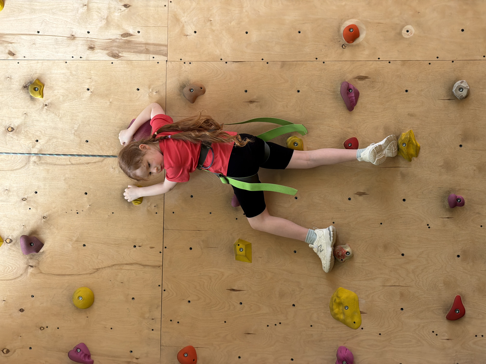 A young girl is rock climbing on a wooden wall indoors. She wears a red t-shirt, black shorts, and a green climbing harness. Her feet are clad in athletic shoes. The climbing wall features various colored hand and foot holds. The location is not possible to determine from the image.