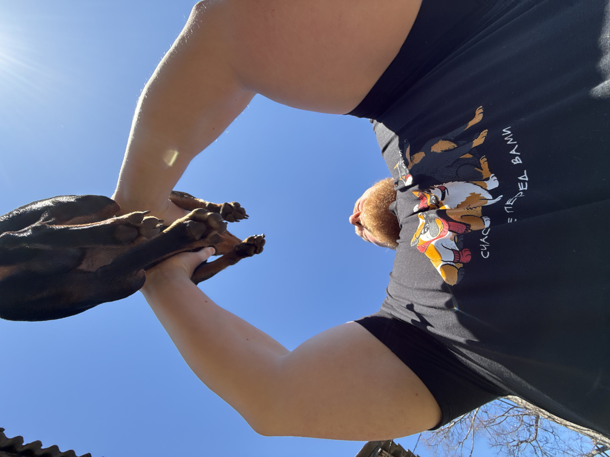 A low-angle shot shows a person holding a Doberman Pinscher up towards the sky. The person is wearing a black t-shirt with cartoon dog images and Russian text, and black shorts. The sky is blue with a bright sun visible. A tree branch and part of a fence are visible in the bottom corners of the image. The location is not specified.