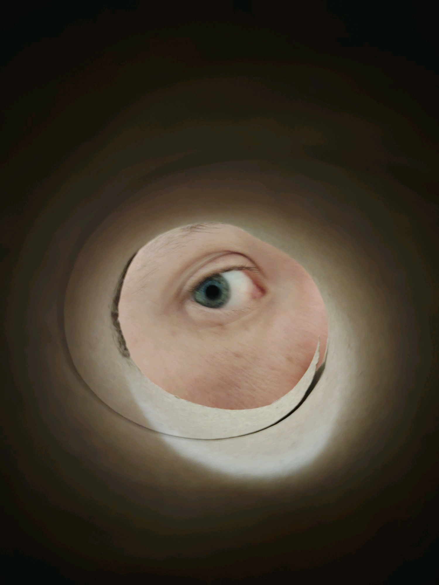 A close-up shot shows a person's blue eye looking through a circular opening, which appears to be the inside of a cardboard tube. The eye is the central focus, with the iris a distinct blue, and the pupil dilated. The surrounding skin is light-toned with visible pores and fine hairs. The opening frames the eye, creating a tunnel-like perspective. The background is dark and out of focus, with lighter tones suggesting the curved interior of the tube. The lighting emphasizes the eye and creates a dramatic effect. There is no indication of the location in Chaikovsky, Russia.