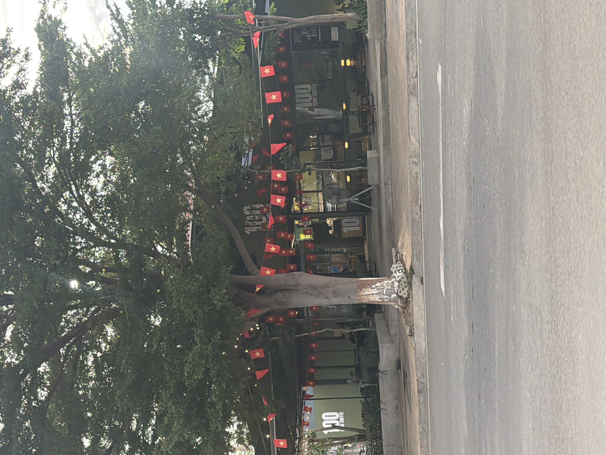 The image captures a vibrant street scene in Dong Hai Ward, Vietnam, featuring a cafe adorned with numerous Vietnamese flags. On the left, large, mature trees with dense green foliage dominate the frame, their leaves filtering bright sunlight and casting dappled light. The trunk of one prominent tree shows lighter, possibly painted or worn, markings near its base.
Strings of small, red rectangular flags, each bearing a yellow five-pointed star (the flag of Vietnam), are strung between the trees and across the facade of the building. These flags create a festive and patriotic atmosphere, suggesting either a celebration or a proud display of national identity. Some flags appear to be part of decorative string lights.
On the right, a building, identified as a cafe or coffee shop, features large glass windows. The prominent text "100 PURE COFFEE" is visible on its exterior, with the number "100" being particularly large. The number "10" is also visible in another section. Outdoor seating, including tables and chairs, can be faintly discerned behind the flags near the entrance, and a large industrial-style fan is positioned near the bottom right of the building.
A grey, paved road or sidewalk runs along the right side of the image. The scene is illuminated by bright natural daylight, indicating it is daytime. The overall impression is one of a lively local business, likely a cafe, decorated with national symbols.