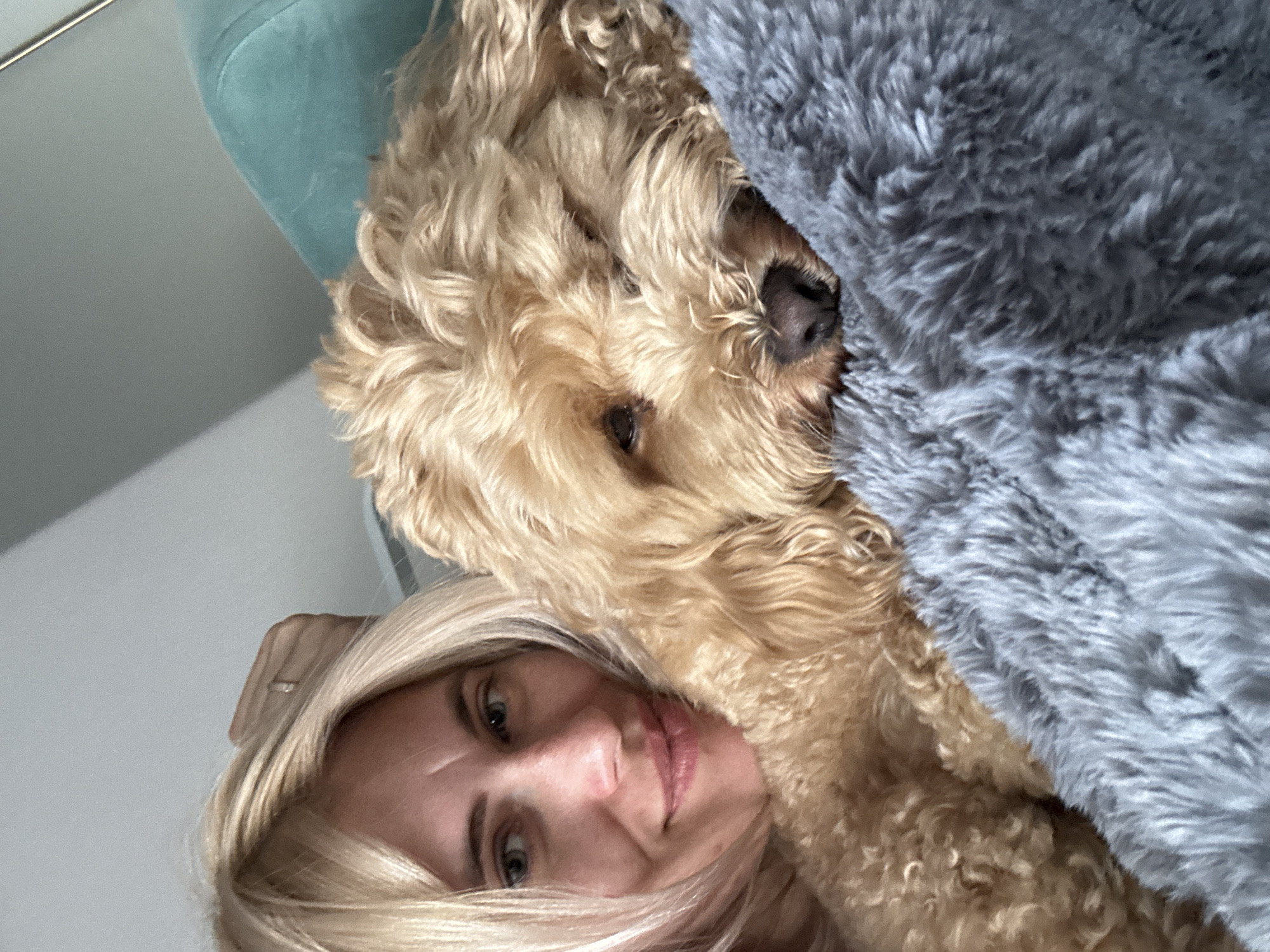 The image displays a close-up, intimate portrait of a person and a dog, captured from an overhead perspective, likely a selfie. The scene is set indoors, suggesting a comfortable and domestic environment.
The person, who appears to be a woman, occupies the lower part of the frame. She has blonde hair that frames her face, fair skin, and light-colored eyes. A gentle, soft smile plays on her lips, indicating a feeling of warmth and contentment. A hand, possibly holding the camera, is visible behind her head, adorned with a simple ring.
Beside the person, snuggled closely, is a dog with light brown, curly fur, resembling a Goldendoodle or a similar breed. The dog's face is prominently featured, with one dark eye visible and its black nose and snout partially emerging from beneath a plush, gray, fuzzy blanket or throw. The dog appears relaxed and at ease, nestled close to the person.
In the upper left background, a portion of a soft, light blue cushion or pillow is visible, complementing the cozy atmosphere. The background wall is a plain, light gray hue. The overall impression is one of companionship, affection, and tranquility. There is no discernible text within the image. This scene is set in an indoor location in Saratov, Russia.