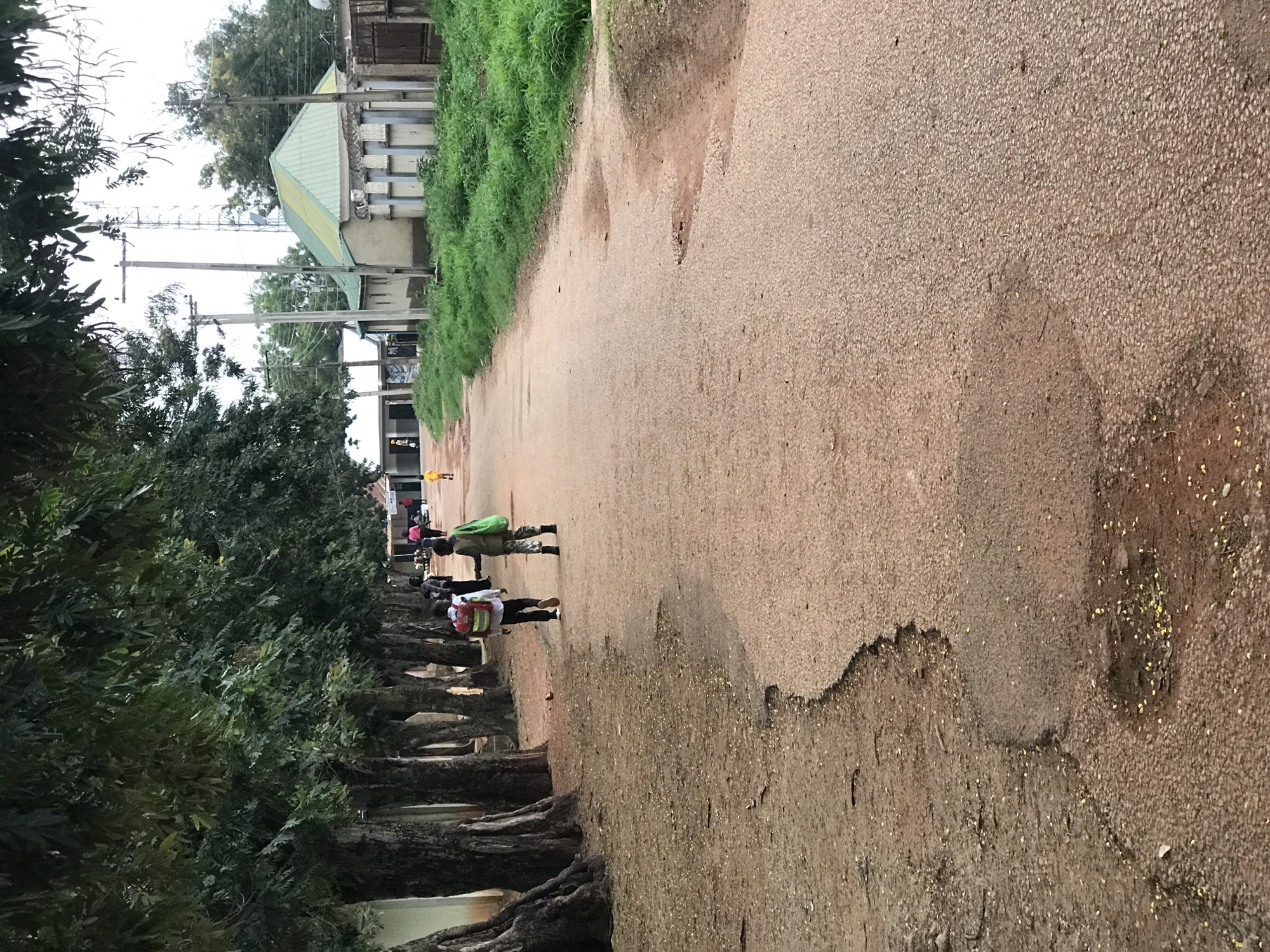 Two children, likely students, walk away from the camera on a paved road lined with trees on the left. The child on the left wears a white shirt and red backpack, while the child on the right wears a green vest and carries a green bag. The road shows signs of wear and tear, with visible potholes. In the background, buildings with green roofs are visible, along with utility poles and a cell tower. The environment appears to be a suburban or semi-rural area. The overall lighting suggests it is daytime, possibly overcast. The location is identified as Kabong, Nigeria.