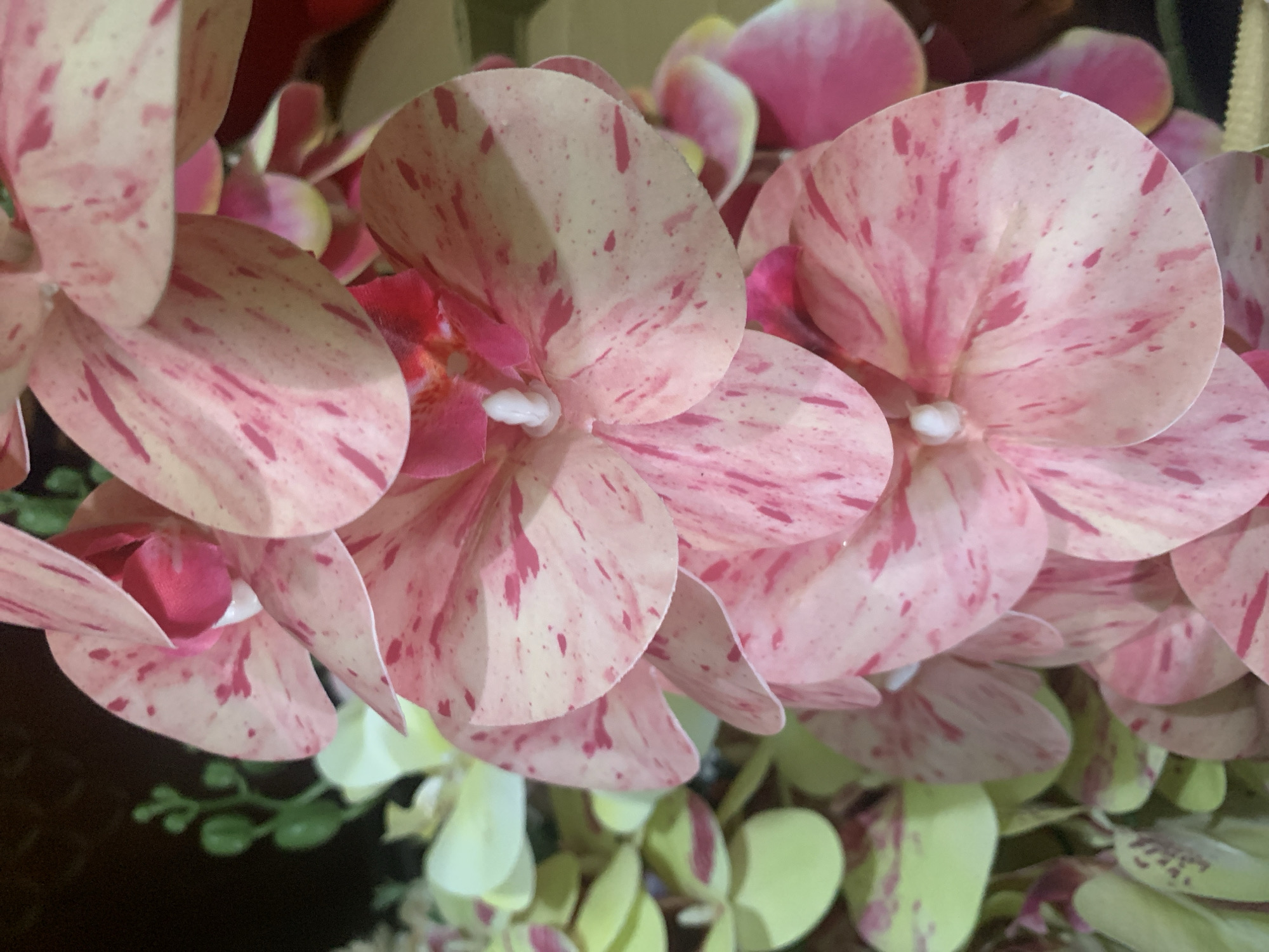 The image displays a close-up view of a cluster of artificial orchid flowers. The dominant colors are soft pink and cream, with the petals featuring pink speckles and streaks, giving them a marbled appearance. Some of the flowers also show hints of a deeper magenta. The petals are layered and somewhat translucent, with a delicate texture. In the background, there are out-of-focus elements of greenery and darker tones, suggesting a floral arrangement or display. The overall impression is one of vibrant, decorative floral artistry.
There is no indication of Kuala Pembuang, Indonesia, or any specific urban environment within the provided image. The scene is solely focused on the floral subject.