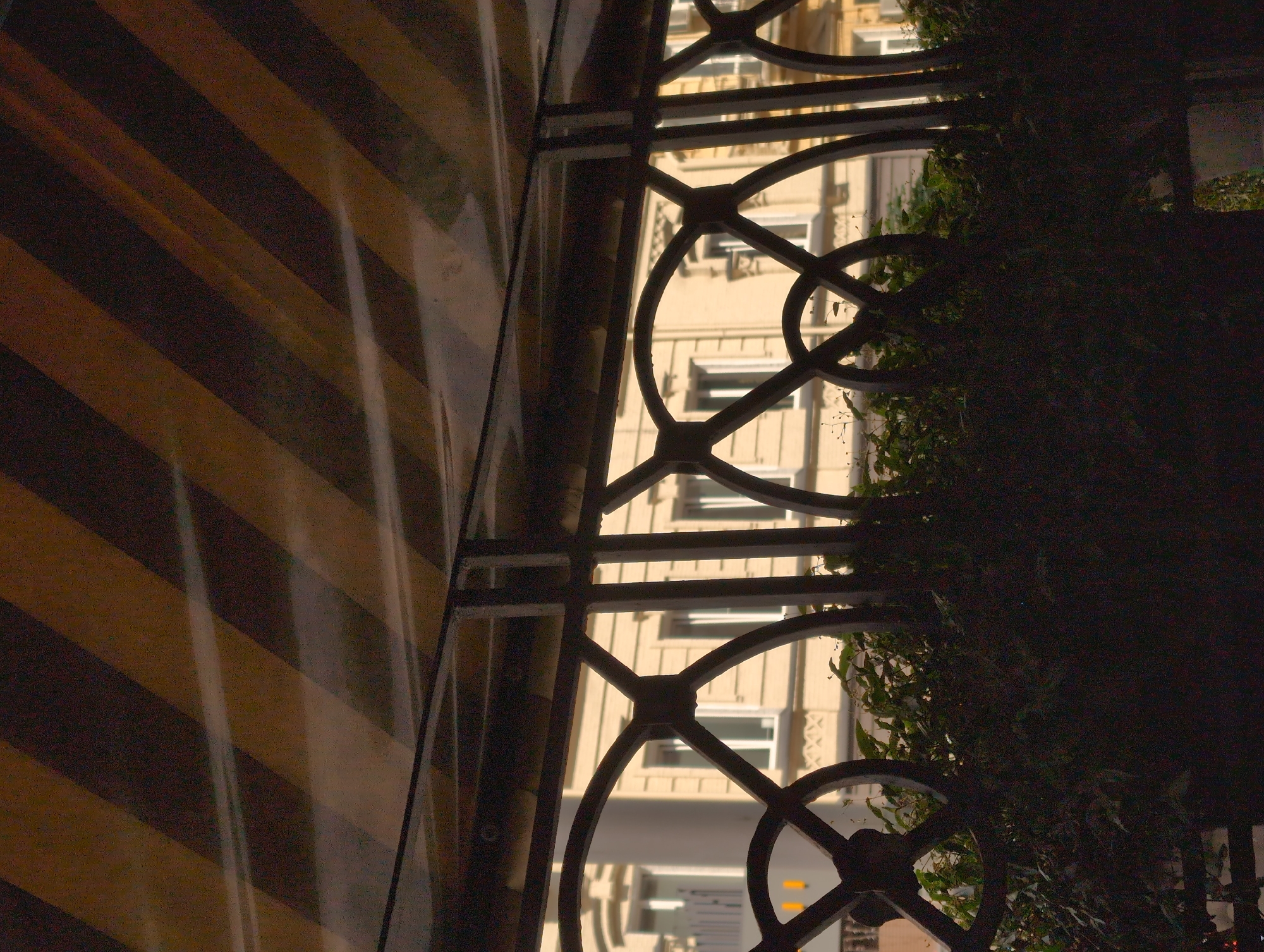 The image captures an outdoor scene in Kyiv, Ukraine, likely during the day given the natural light. The perspective is from behind a decorative wrought-iron fence, which dominates the foreground with its intricate circular patterns and linear elements. Through the fence, a building with a light-colored facade and numerous windows is visible. Some of these windows appear to have white frames, and the building exhibits architectural details suggesting it's an older structure.
To the left of the fence, a surface with diagonal stripes of dark brown and lighter tan is present. This striped surface appears to be partially covered by a reflective material, creating a diffused, distorted view. A lush green vine or plant is growing densely on the right side, intertwined with the fence and obscuring parts of the background building.
The time of day is not definitively ascertainable, but the lighting suggests it is not nighttime. The overall mood is somewhat obscured due to the shadows and the partially reflective surface. No people are visible in the frame, and no text is discernible in the image. The scene appears to be a street-level view, possibly a balcony or a courtyard area.