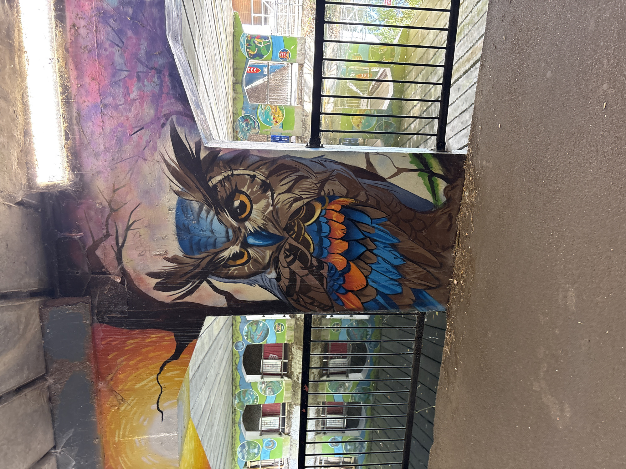 This media file displays a mural painted on a concrete wall, depicting a large, detailed owl with striking orange and blue feathers. The owl's face, with its intense yellow eyes, is the focal point. Behind the owl, the mural transitions into a more abstract depiction of a forest with purple and pink hues, and bare, dark branches. To the lower left, there is a painting of a sunrise with vibrant orange and yellow colors.
In the background, through a metal grate, a glimpse of a building with windows and balconies is visible. These balconies are decorated with circular murals, some featuring stylized depictions of nature scenes and figures. The overall setting appears to be an outdoor space, possibly a walkway or underpass, given the concrete structures and the grating. The lighting suggests it is daytime, with a bright light source on the left side of the image, possibly a lamp or natural light coming from a window. The presence of cobwebs suggests the location may not be frequently cleaned. There is no discernible text in the image. The overall impression is a vibrant, artistic intervention in an otherwise utilitarian environment.