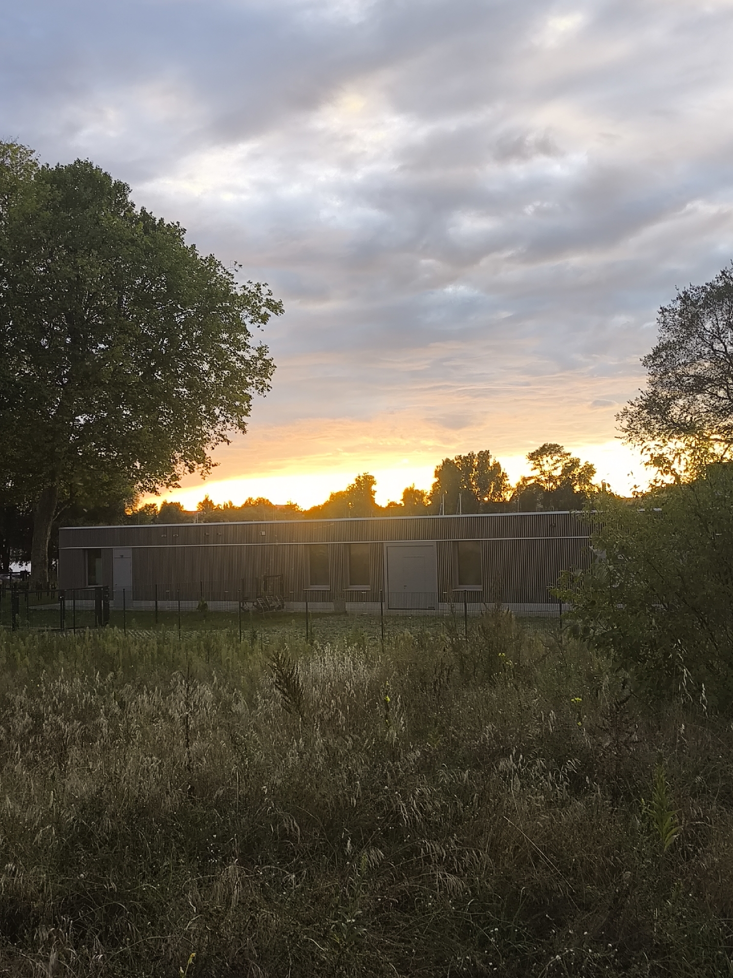 A photograph captures a sunset over a low-lying, modern building in Potsdam, Germany. The sky is filled with dramatic clouds, tinged with orange and yellow near the horizon. Tall trees are visible on the left and right sides of the frame, with a large deciduous tree dominating the left foreground. The building itself is a long, rectangular structure with a facade of vertical wooden slats and a grey door on the left. A dark metal fence encloses the area in front of the building. In the foreground, tall, dry grasses and weeds are densely packed, suggesting an overgrown or naturalized area. The overall lighting indicates it is either early morning or late evening. There are no people visible in the scene.