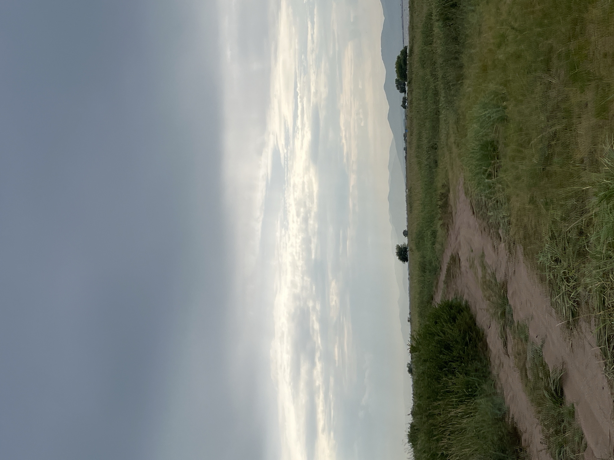 A dirt path winds through a grassy field under a cloudy sky. The path is well-worn and has tire tracks visible. To the left of the path is a dense green bush. In the distance, the field stretches to meet a body of water, beyond which are low, hazy mountains. A few scattered trees are visible on the horizon. The sky is filled with layered gray clouds, with some lighter patches where the sun is attempting to break through. The overall scene depicts a natural landscape in overcast weather.
