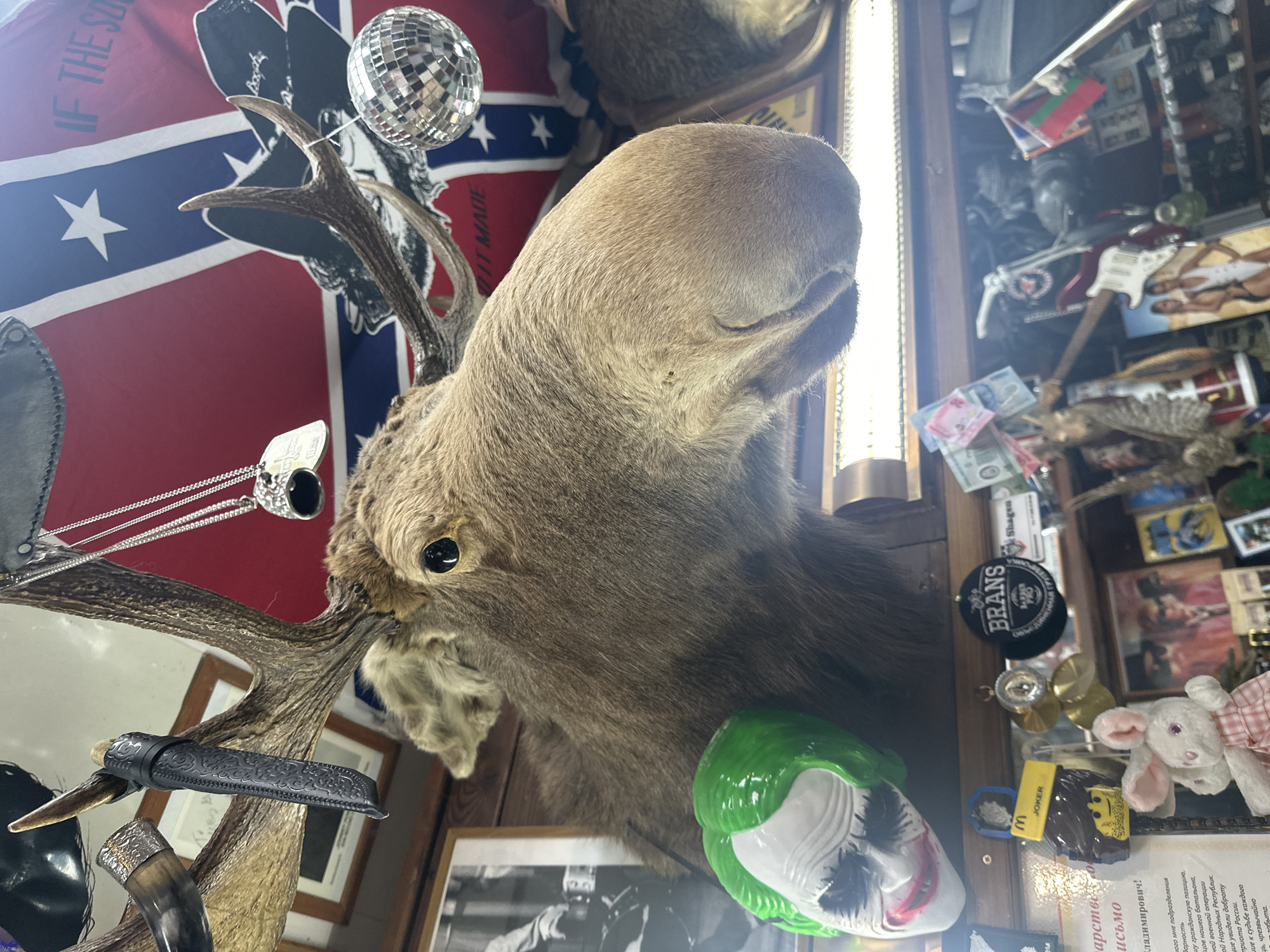 This image appears to be a cluttered interior shot, likely taken in a bar or similar establishment, judging by the eclectic assortment of objects on display.
The focal point is a taxidermied moose head mounted on a wall. Its antlers are adorned with various items including a small disco ball, a necklace, and a sheathed knife.
Behind the moose head, there is a Confederate flag. To the right of the moose head, there's a shelf or display case crammed with items like a Joker mask, a "Brans" beer label, what appears to be foreign currency, and various small objects including a plush bunny and a Lego joker figurine.
The OCR indicates that the image was taken in Moscow, Russia. This is implied because the text on the paper is written in Russian, referencing Vladimir, Батальон, and Народных Республик.
Overall, the image presents a chaotic and somewhat idiosyncratic display of items, indicative of a unique and personalized space.